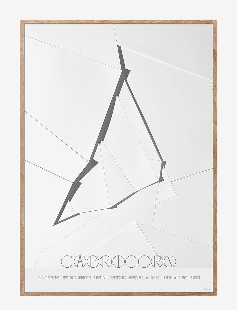 ChiCura - Capricorn - The Goat - graafilised mustrid - multiple color - 1