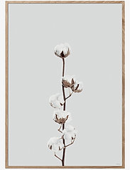 ChiCura - Cotton Flower - botanical - multiple color - 0