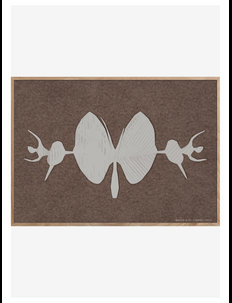 H.C. Andersen - Butterfly Dance, ChiCura