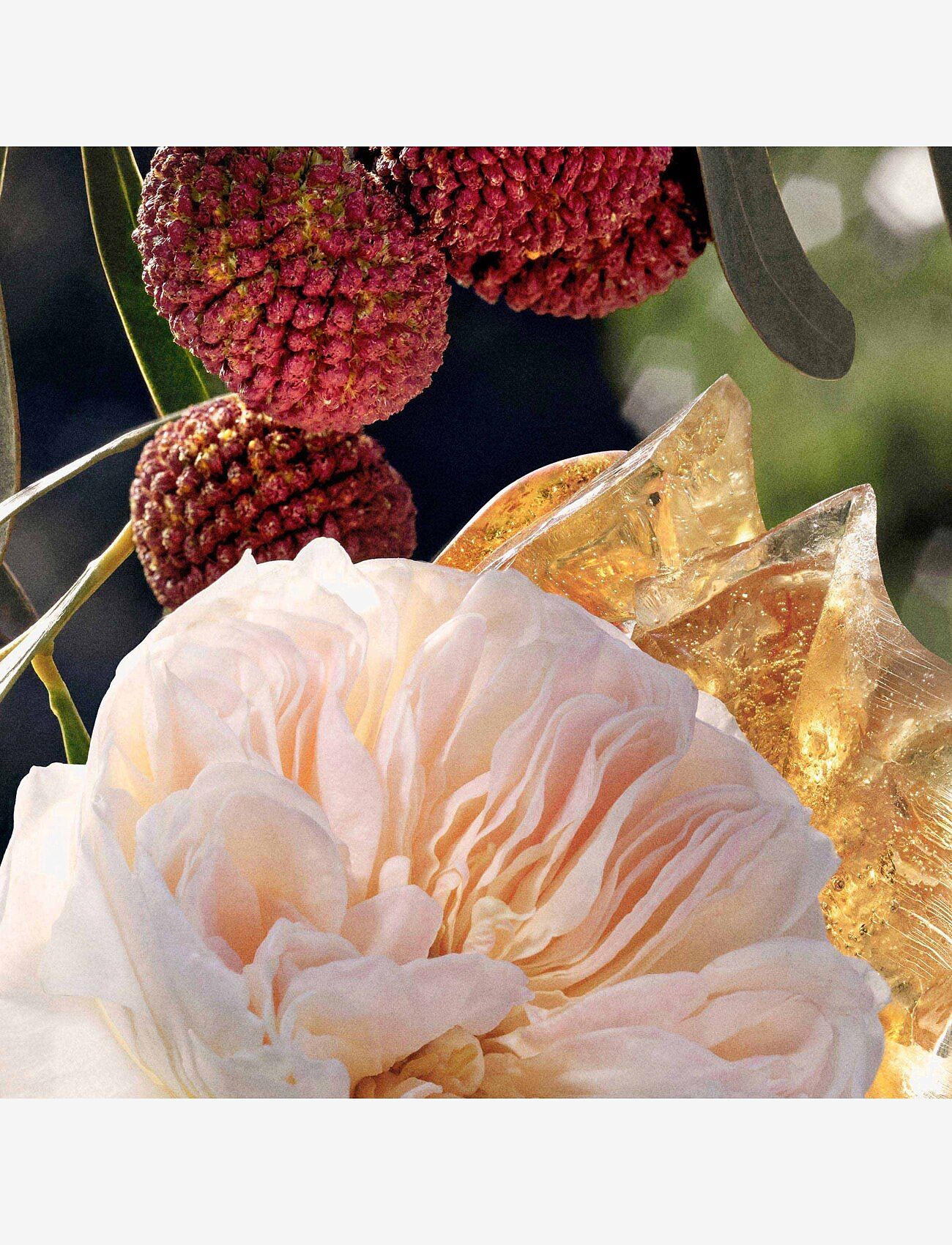 Chloé Eau de Parfum Refillable Spray dam – bild 6
