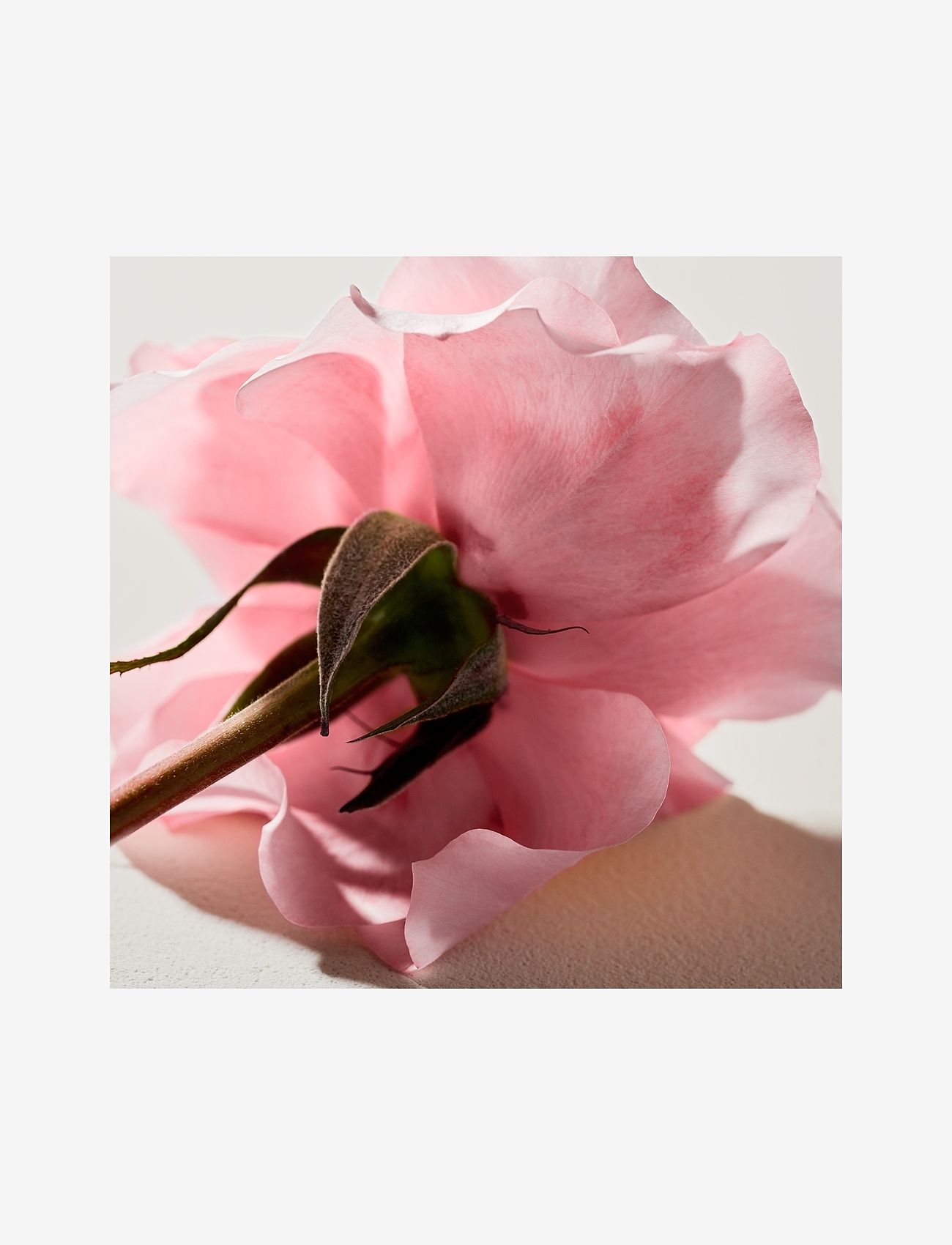 Chloé For Her Eau de Parfum Spray dam – bild 10