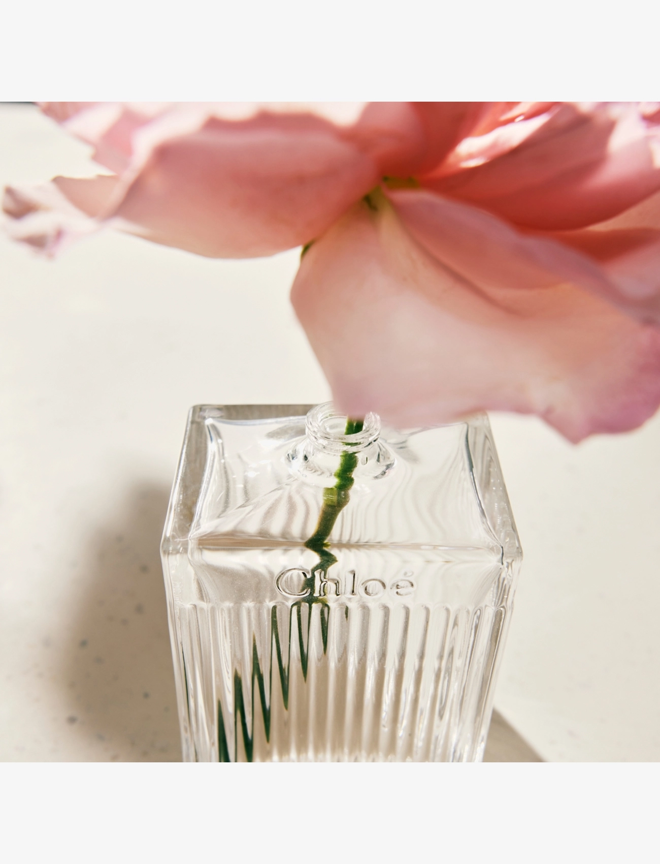 L'Eau de Parfum Lumineuse 7