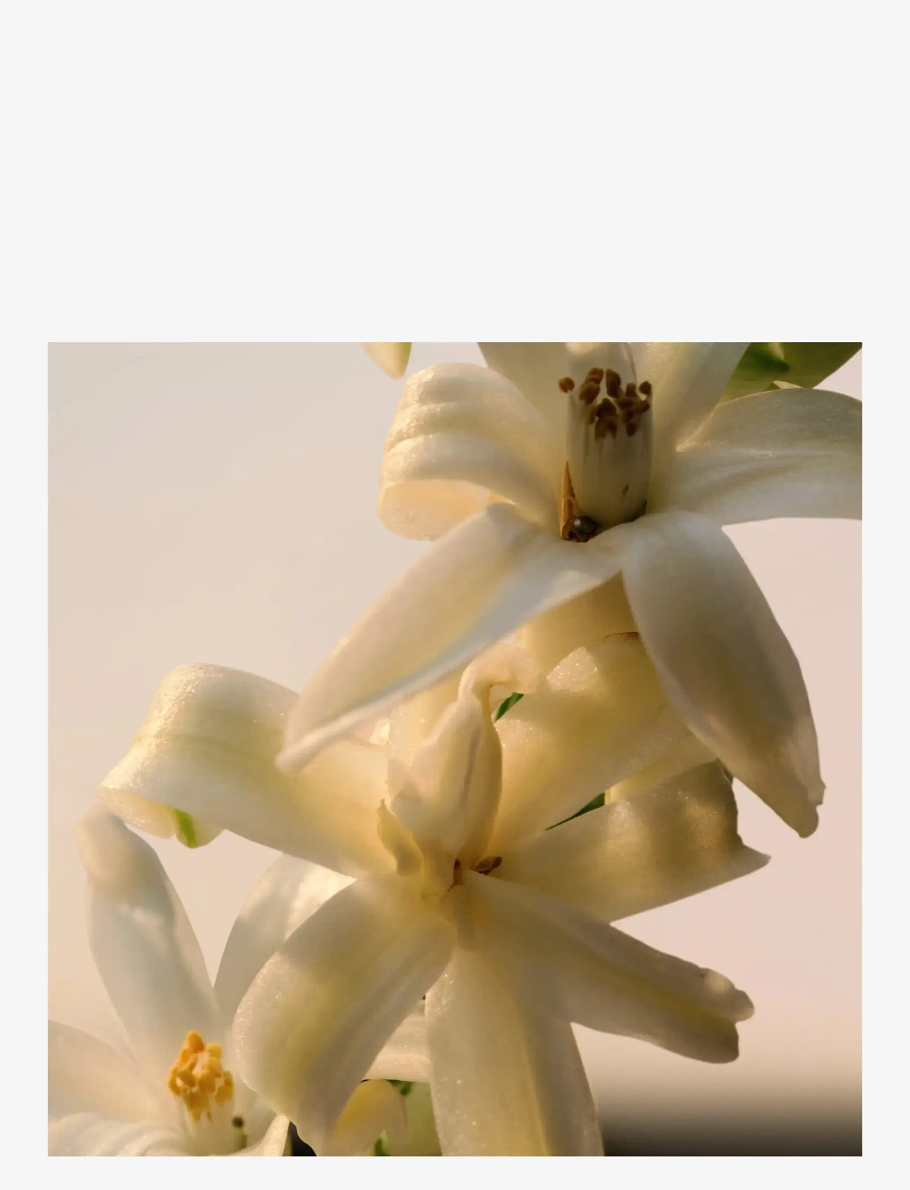 Chloé - Chloé Le Parfum EdP - valmiina treffi-iltaan - clear - 3