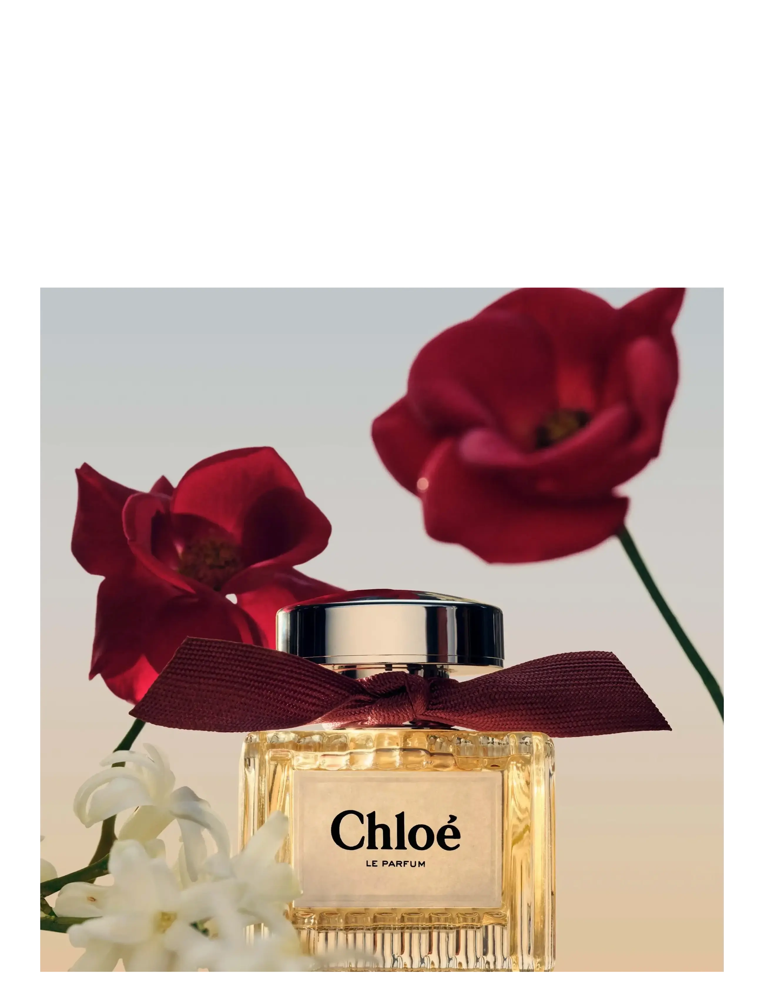Le Parfum Eau de Parfum 5