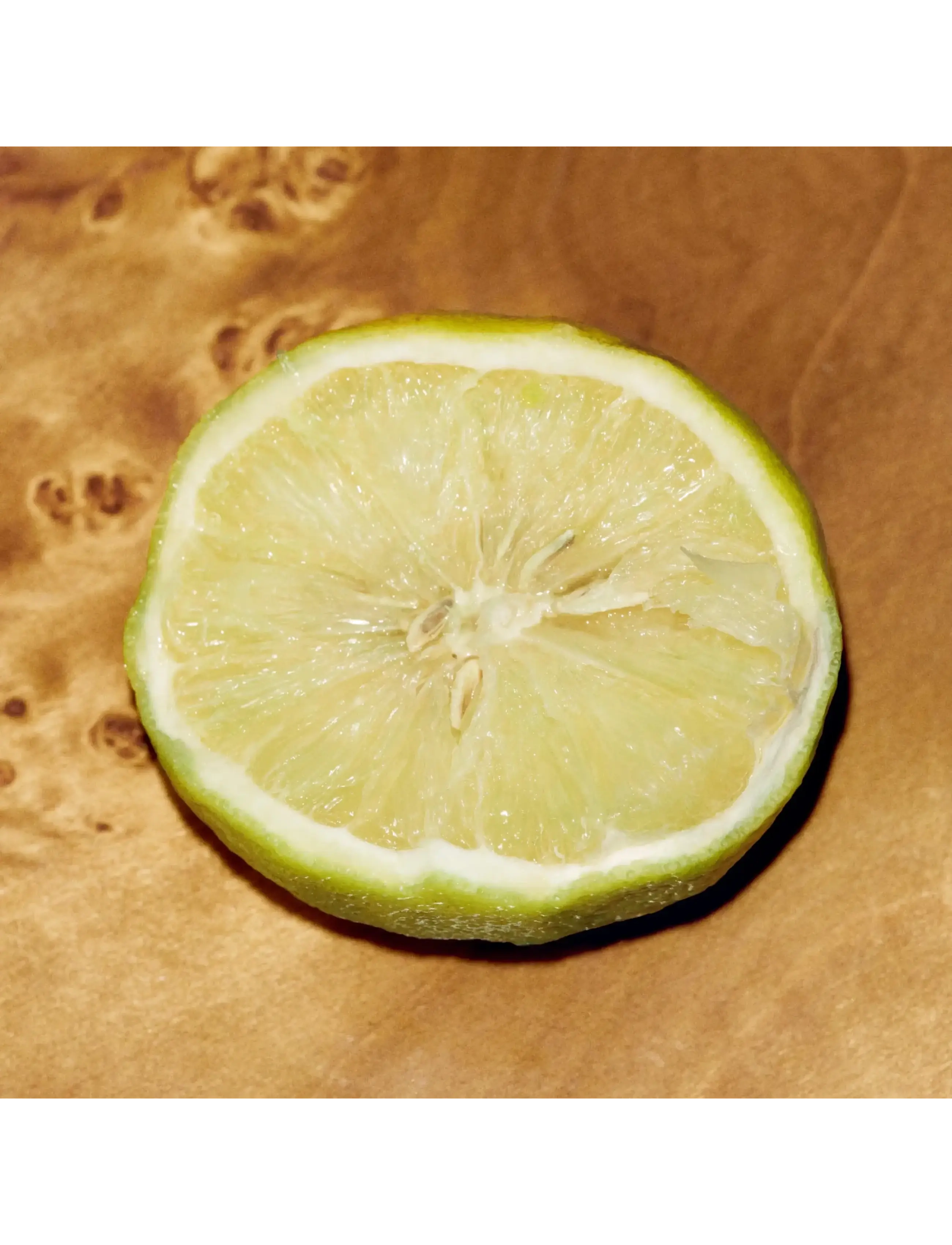 Chloé - Chloé Le Nectar Parfum Intense - clear - 5