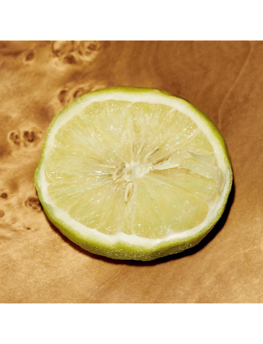Chloé - Chloé Le Nectar Parfum Intense - clear - 5