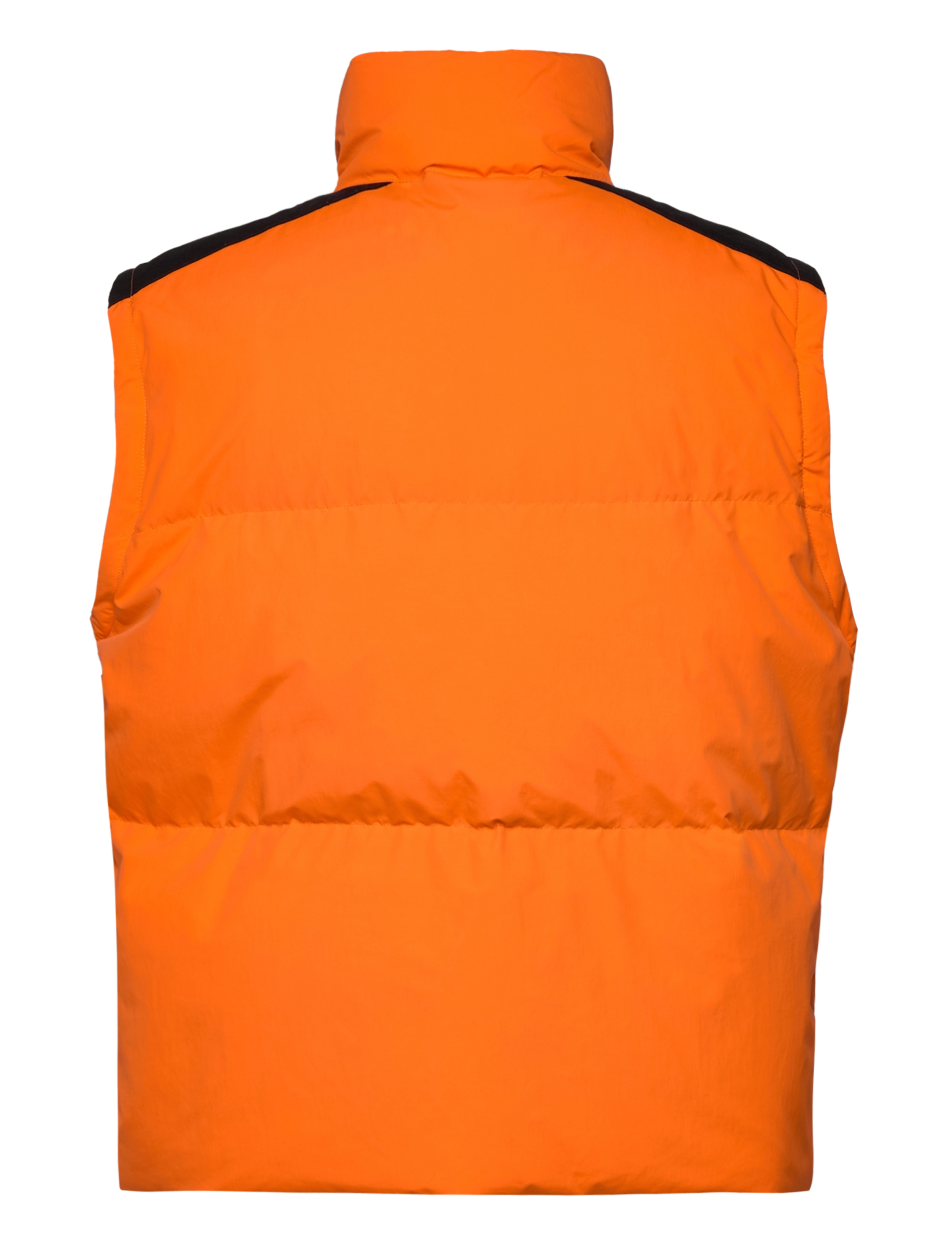 Ciesse Piumini - CP DAKOTA RECYCLE FULL ZIP JKT - winterjacken - carrot-jolly green - 3