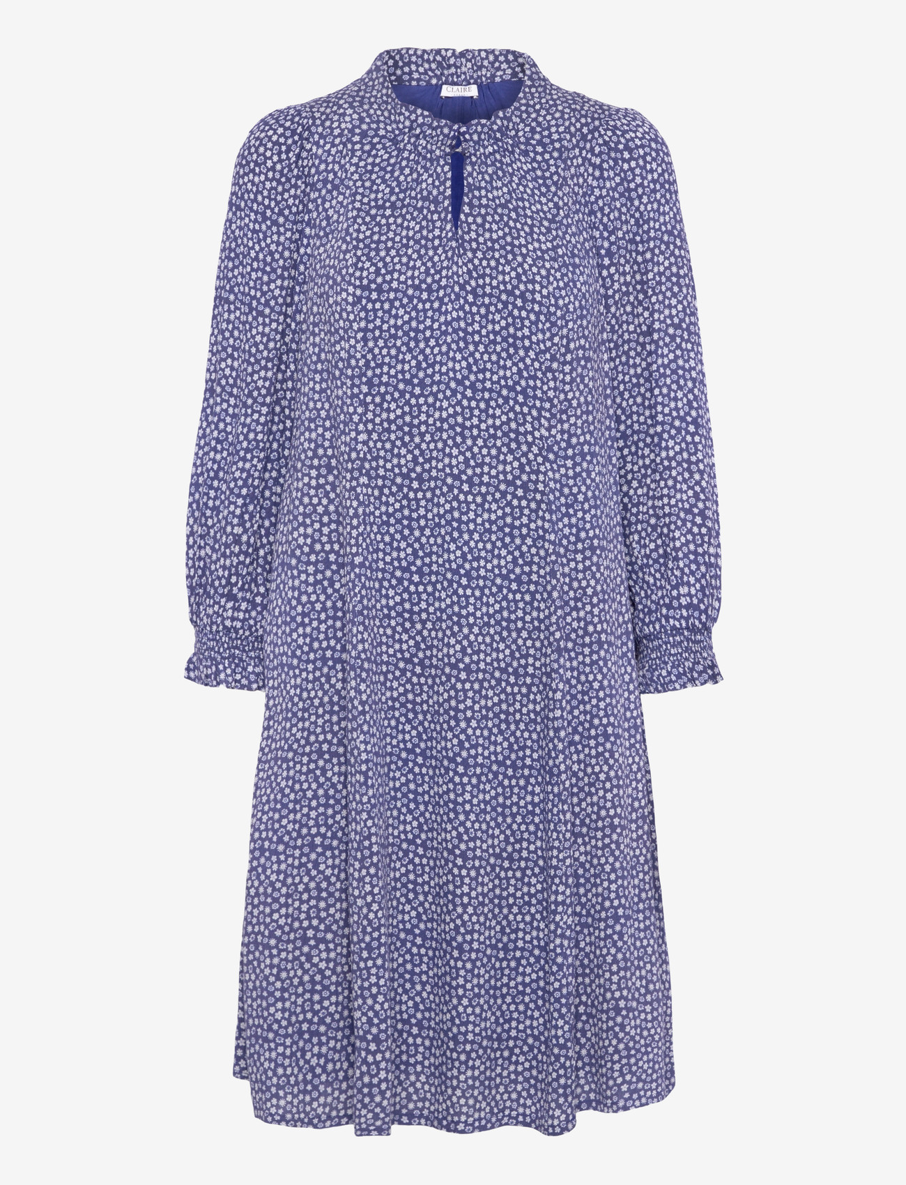 Claire Woman - Cwdenize - midikleider - blueprint - 0