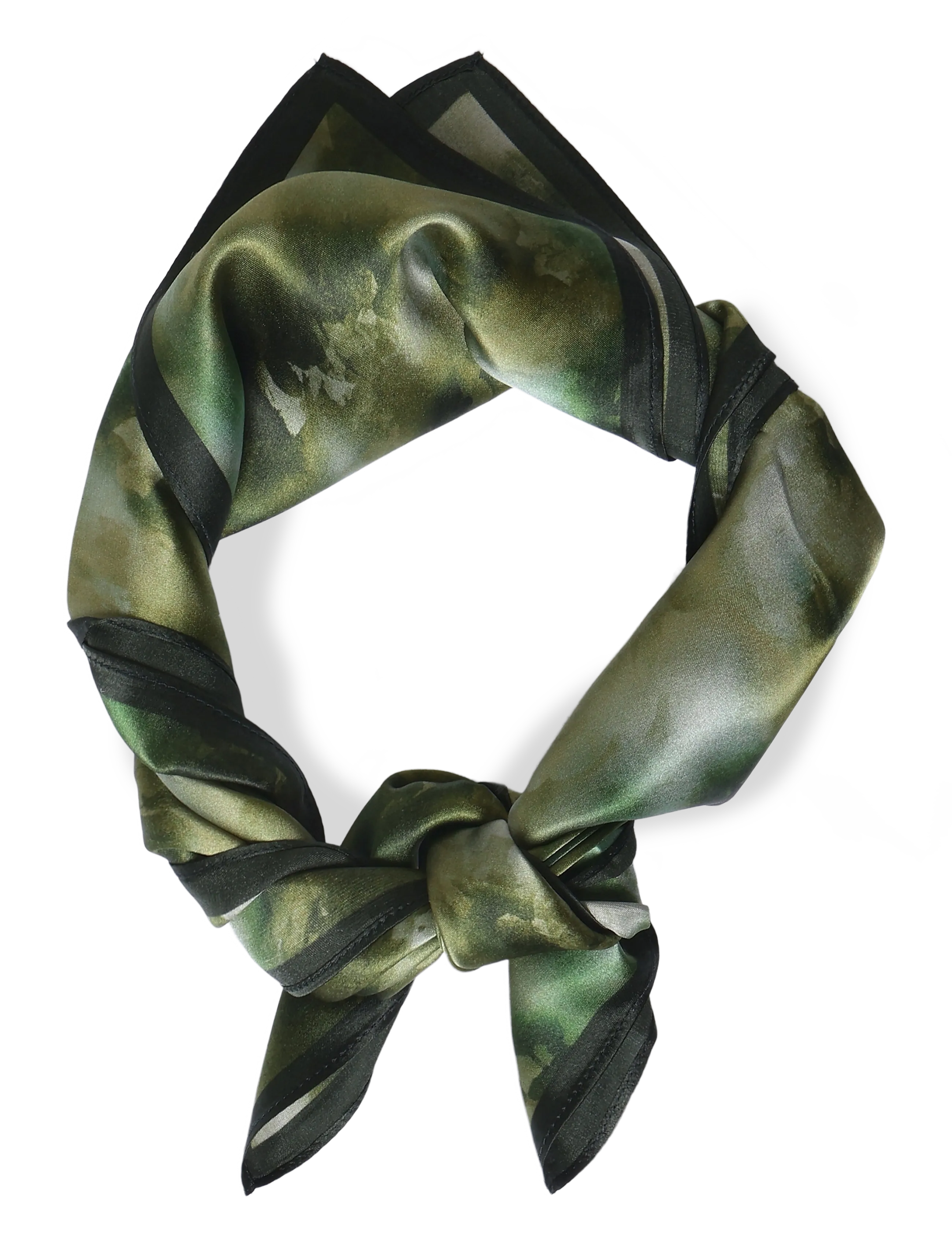 Claire Woman CWFabiola - Accessoires - BEETLE / green