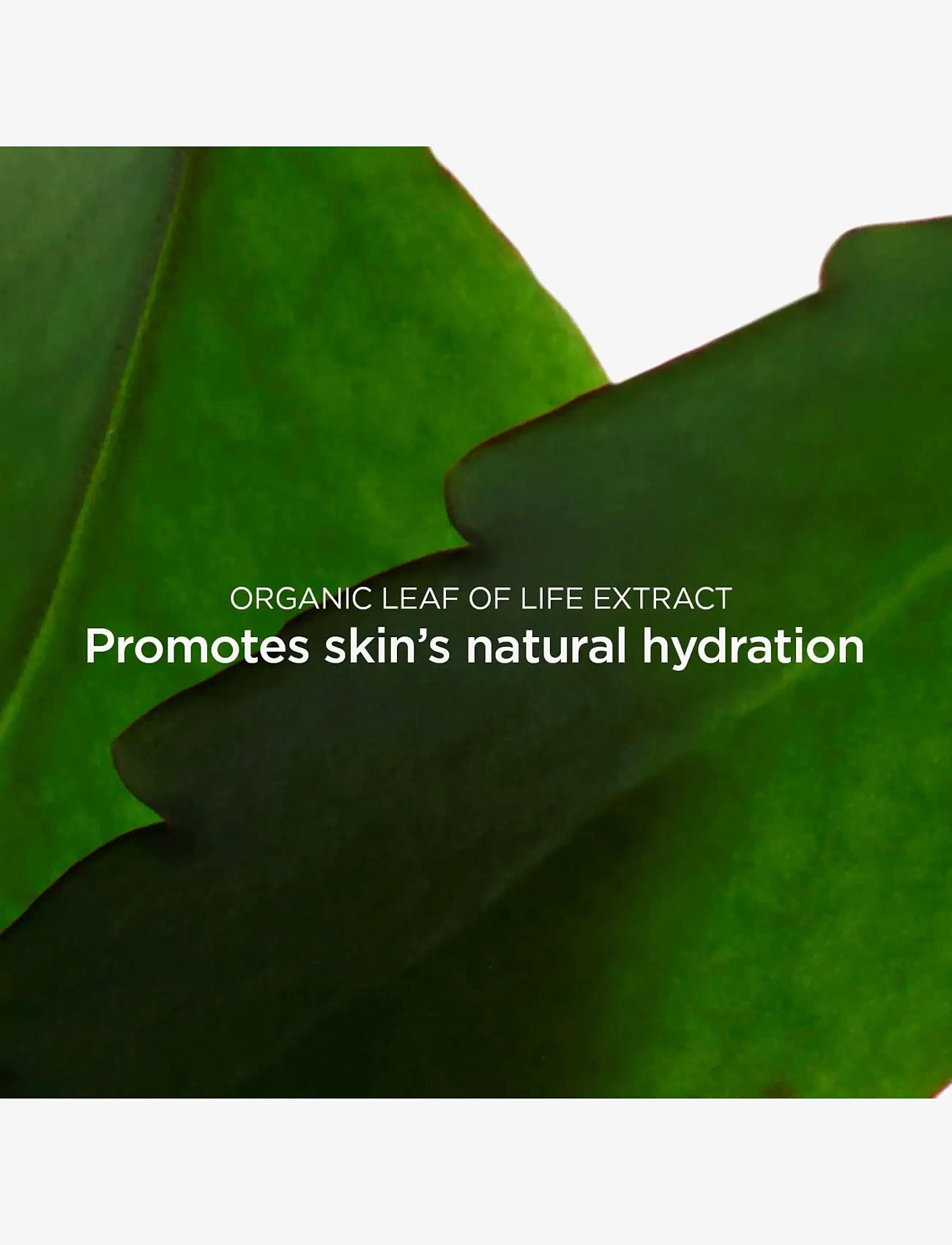 Clarins - Scrubs Fresh 50 ml - peeling - ansikte  - no color - 2