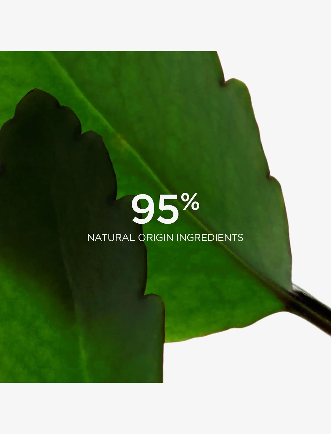 Clarins - Scrubs Fresh 50 ml - peeling - ansikte  - no color - 5