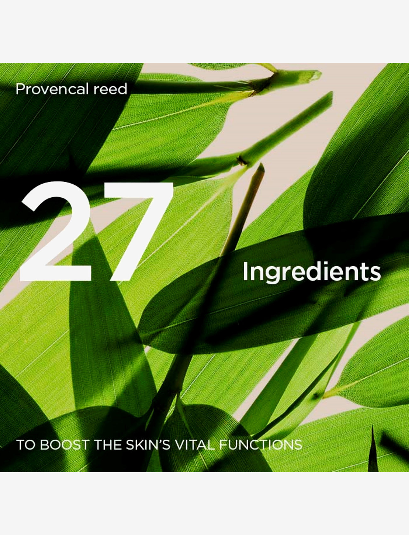 Clarins - Double Serum Light 30 ml - clear - 2