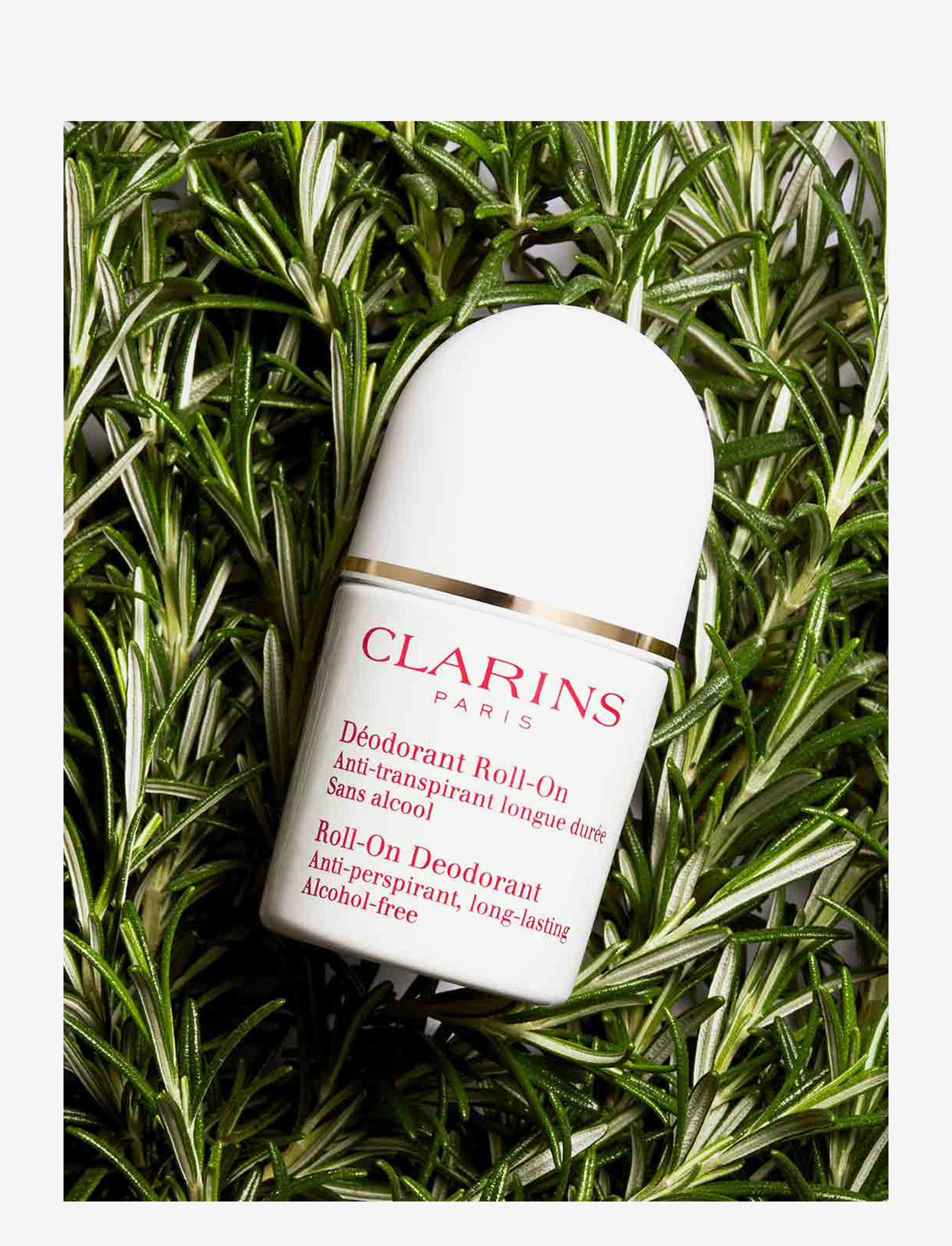 Clarins - Gentle Care Roll-On Deodorant - deo roll-on - clear - 1