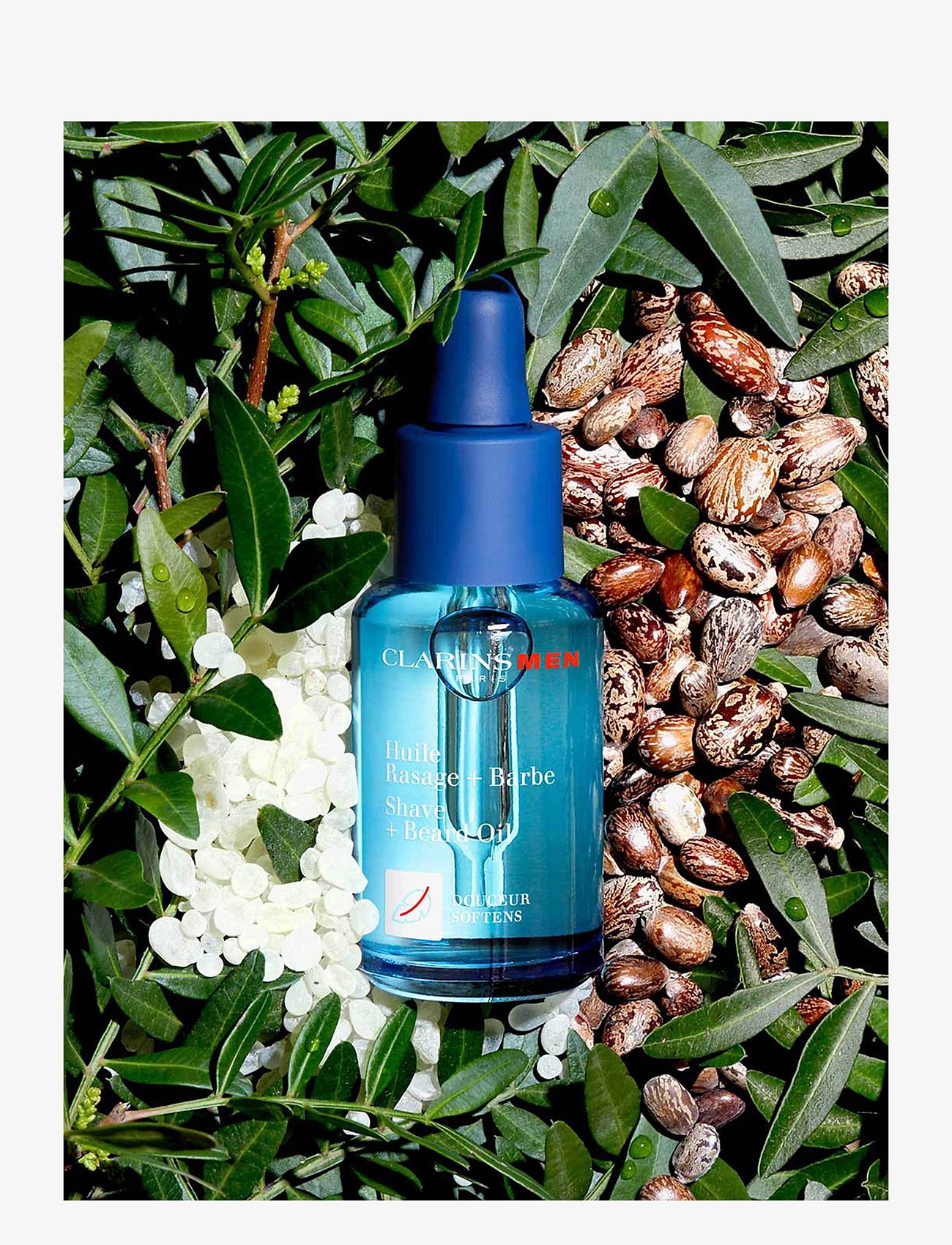 Clarins - Men Shave + Beard Oil - skäggolja - no colour - 5