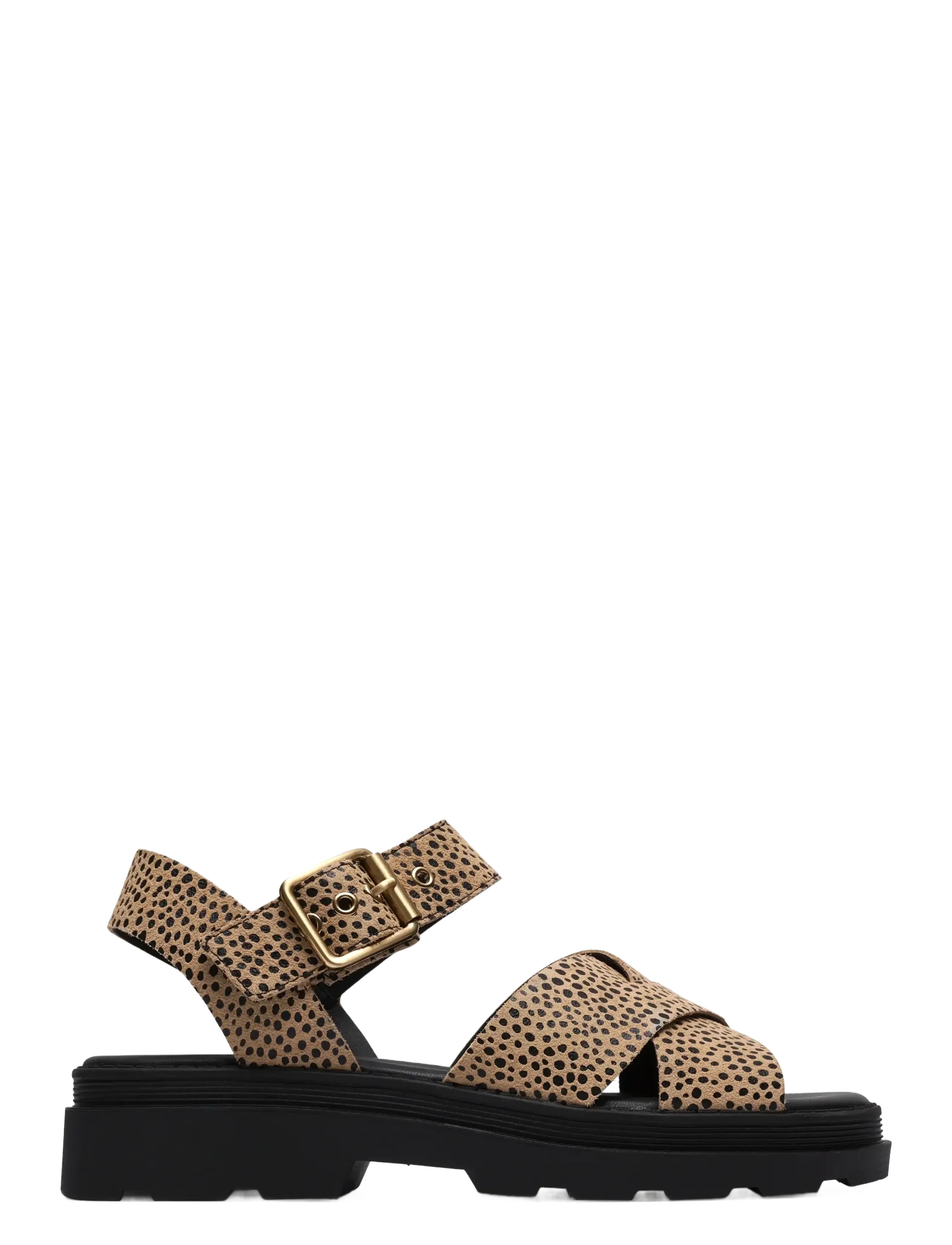 Clarks Orinoco3 Cross D - Sko - ANIMAL PRINT / multi