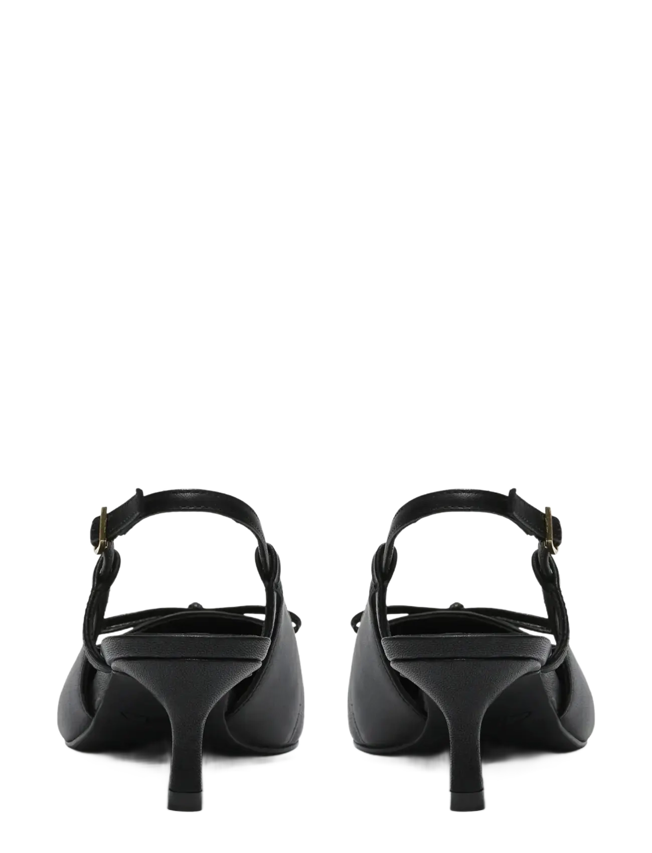 Zarey Bow D 2