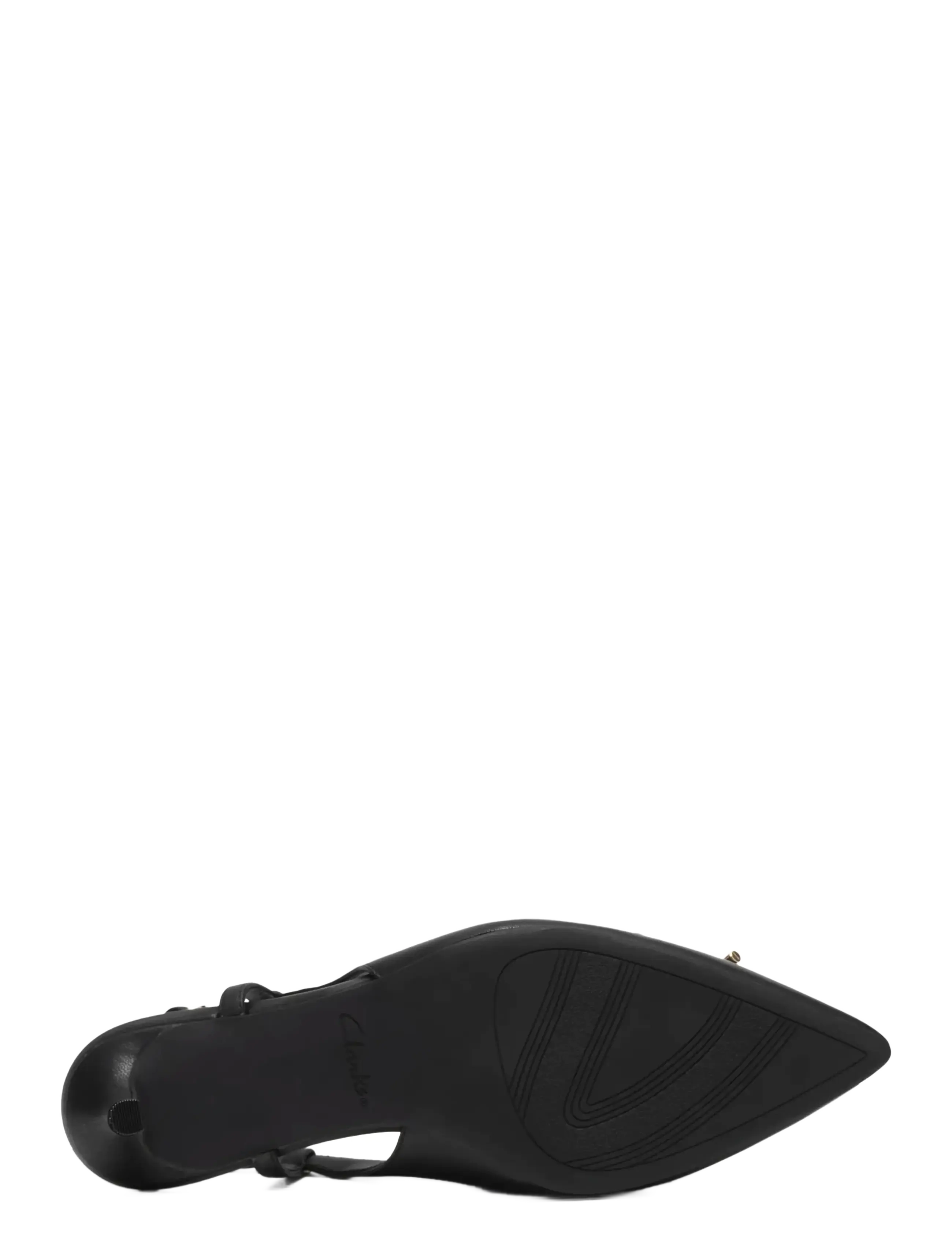 Zarey Bow D 5