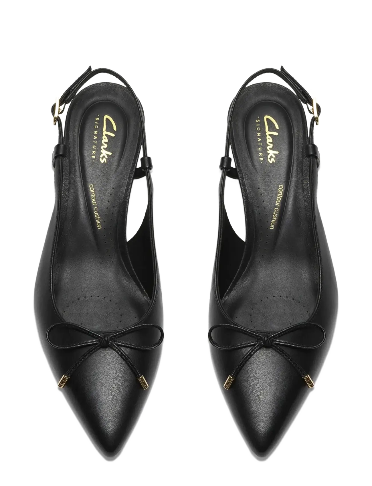 Zarey Bow D 6