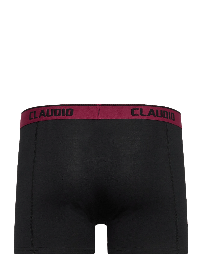 Claudio - Claudio 5-pack tights - alushousut monipakkauksessa - multicolou - 5