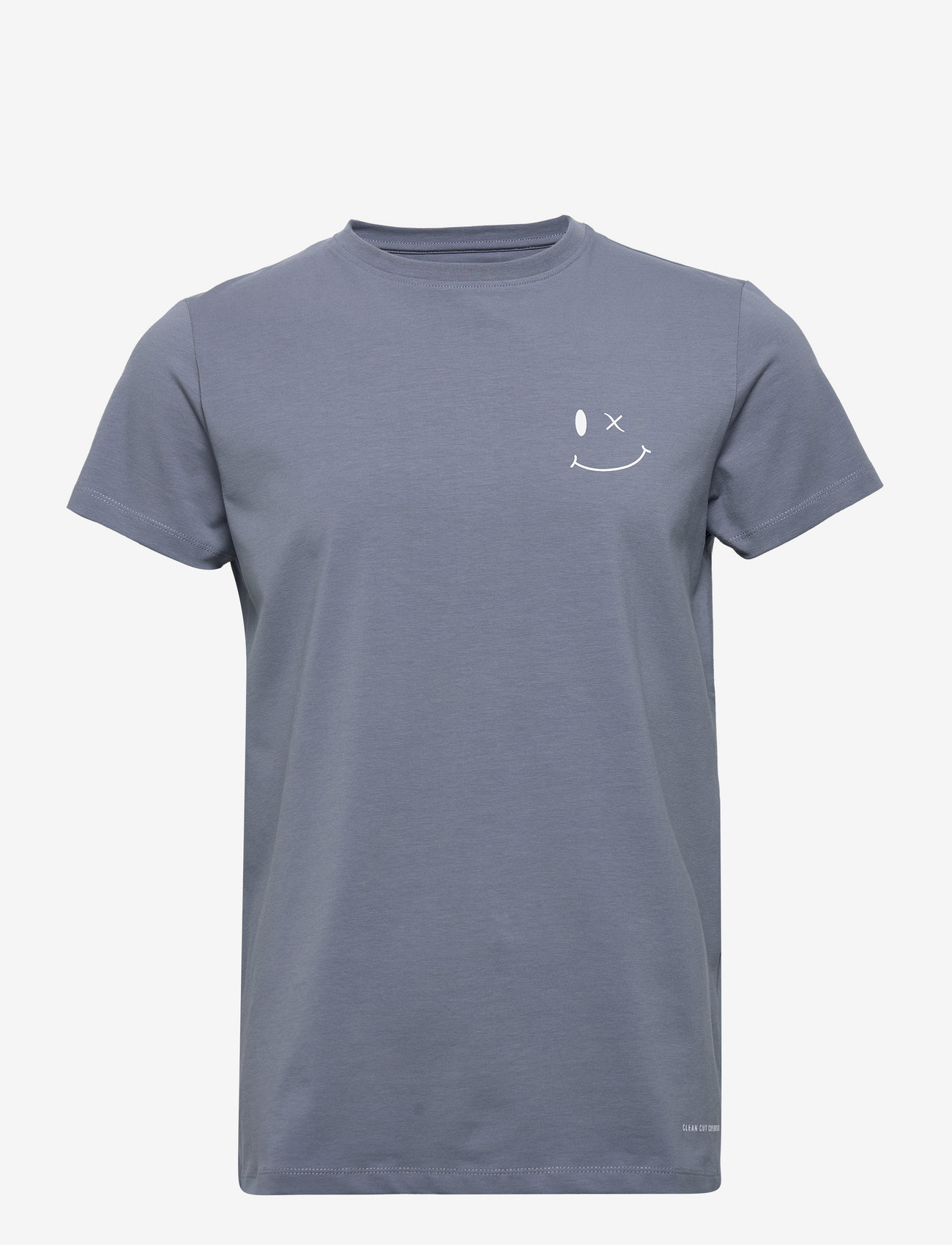 DUSTY BLUE