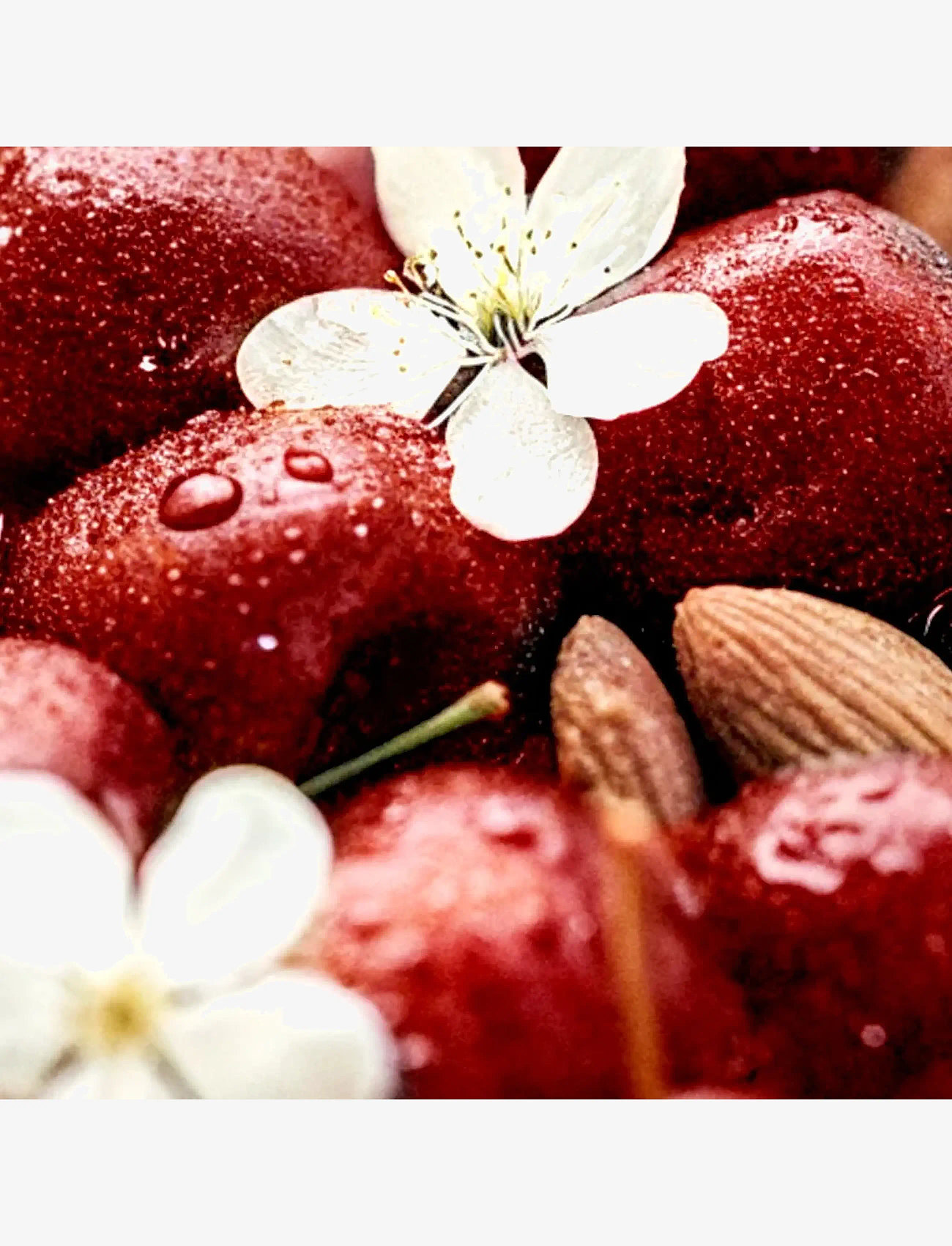 CLEAN - RESERVE Whipped Cherry EdP - till honom  - clear - 3