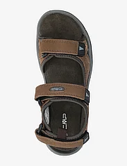 CMP - Almaak Hiking Sandal - pārgājienu sandales - seppia - 3