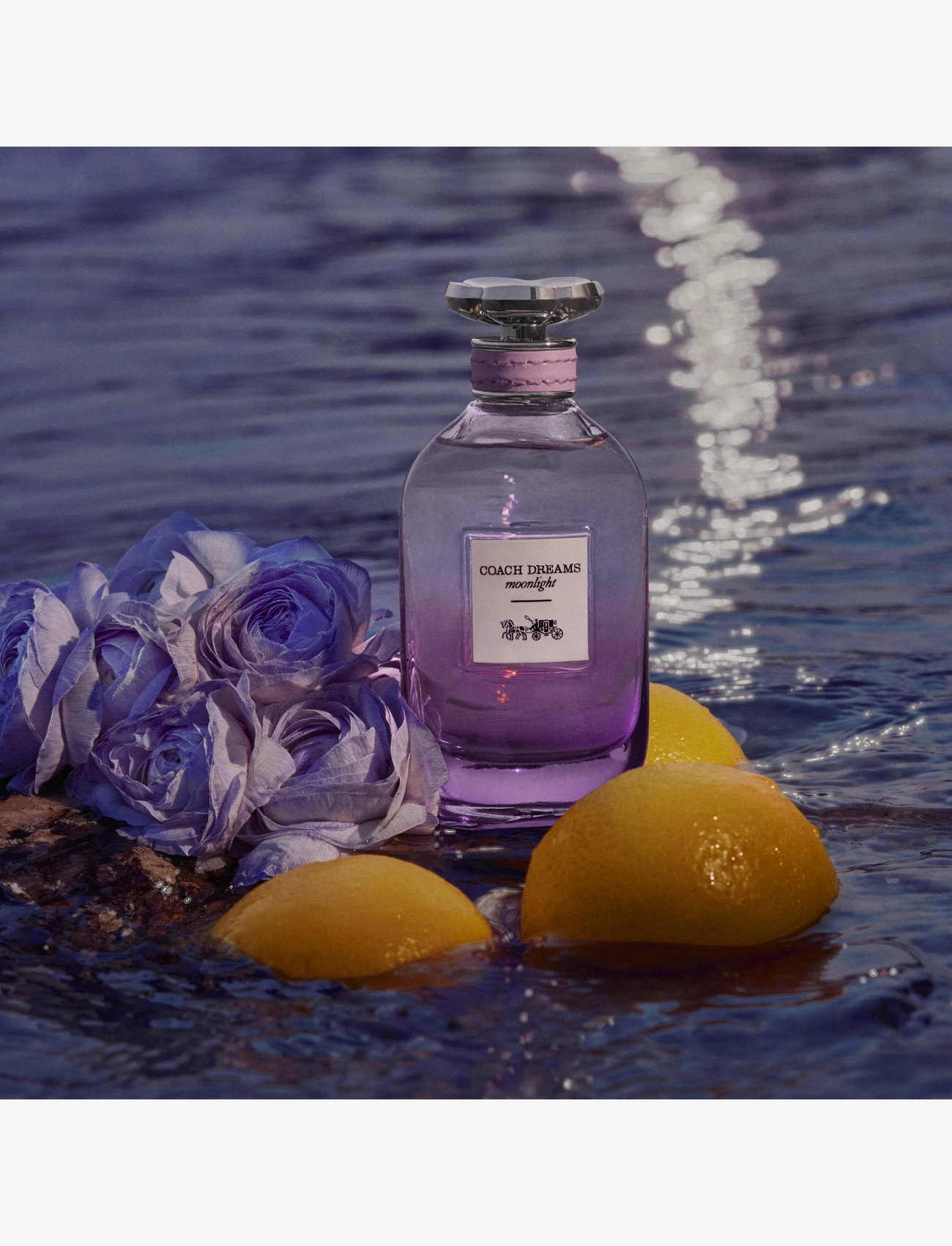 Dreams Moonlight Eau de Parfum 4