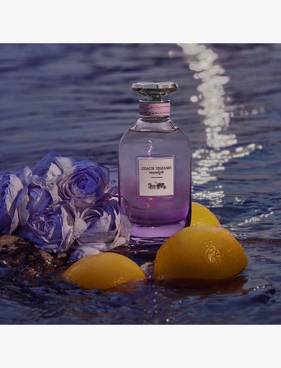 Coach - COACH Dreams Moonlight Eau de Parfum Natural Spray 60 ML - naistele - clear - 2