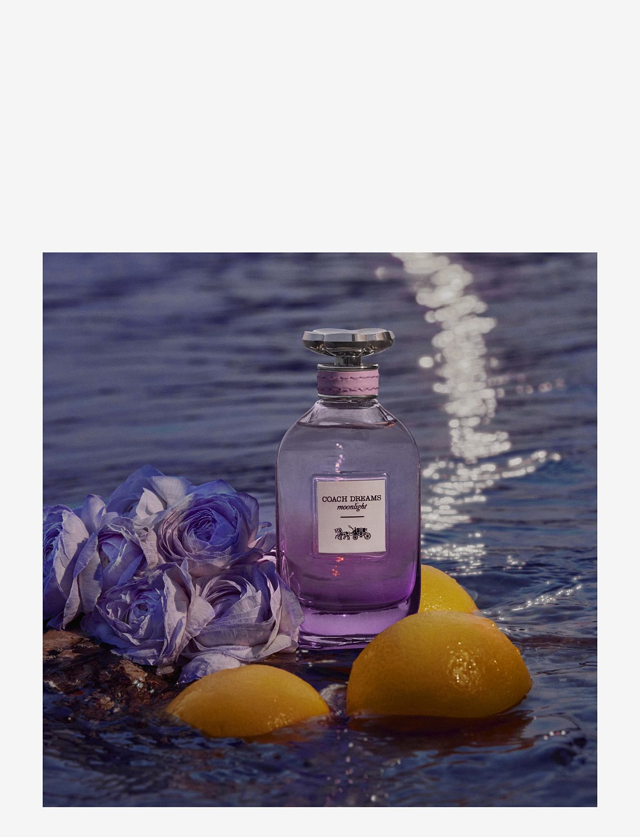 Coach - COACH Dreams Moonlight Eau de Parfum Natural Spray 40 ML - till henne  - clear - 2