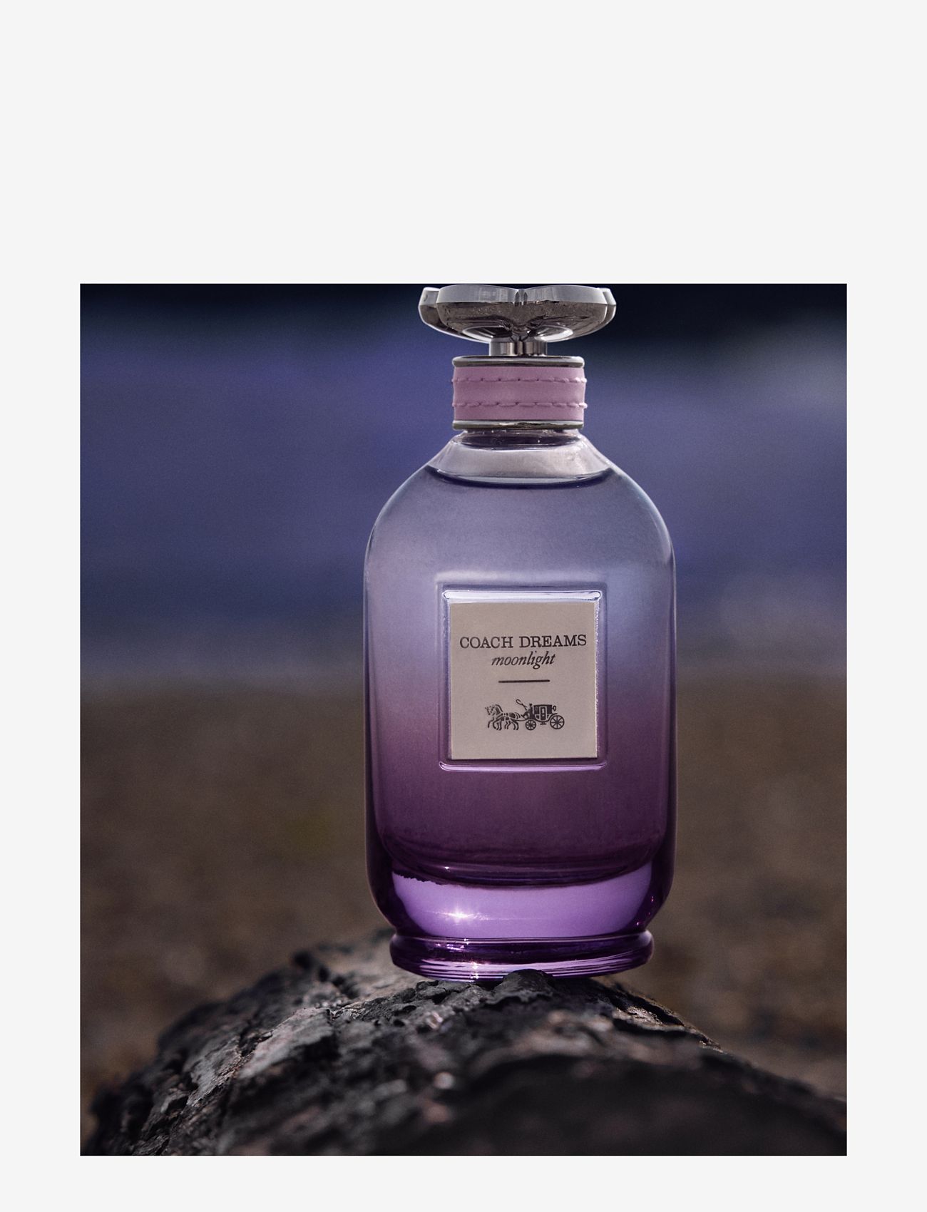 Coach - COACH Dreams Moonlight Eau de Parfum Natural Spray 40 ML - till henne  - clear - 3