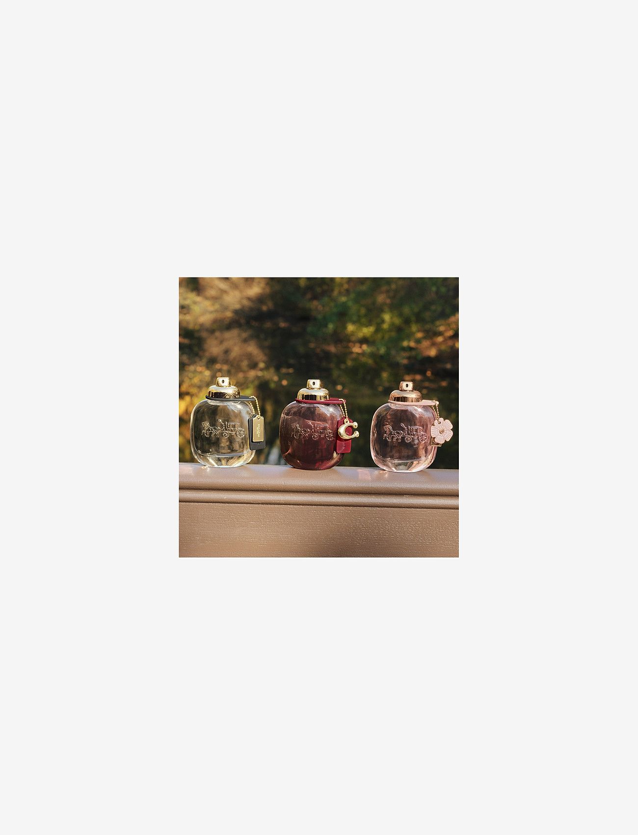 Coach - EAU DE PARFUM - till henne  - clear - 5