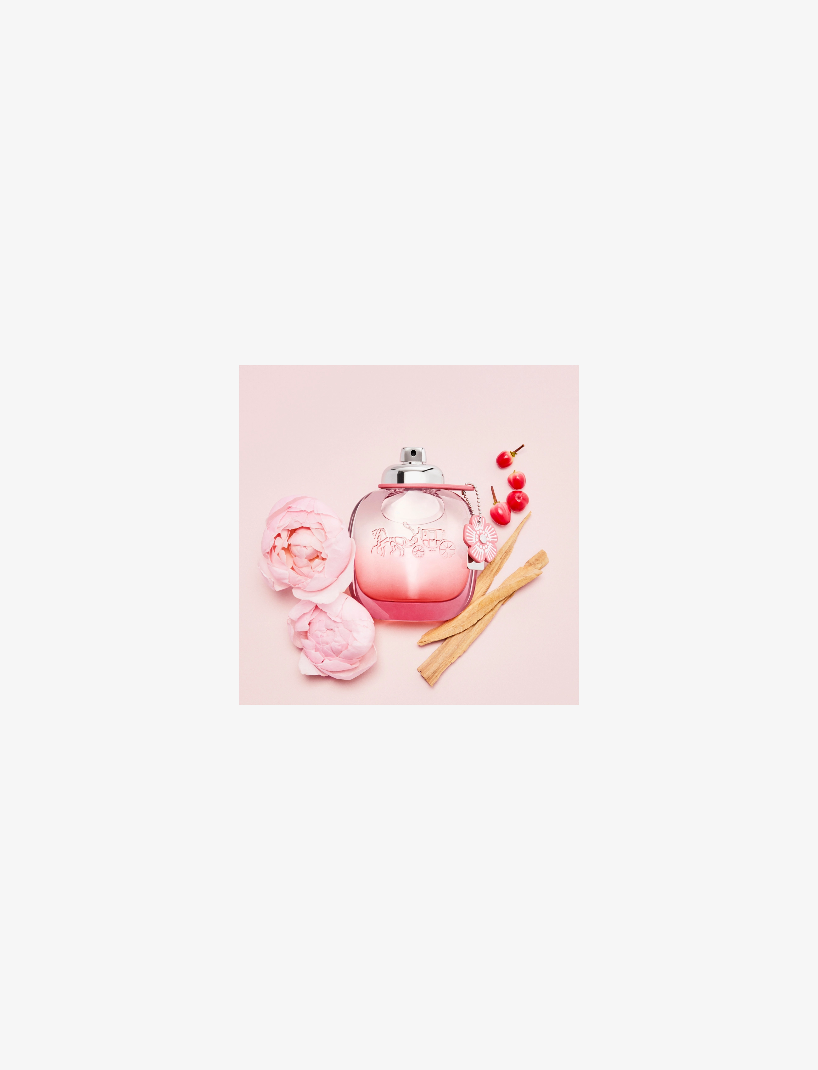 Coach - FLORAL BLUSH EDP EAU DE PARFUM - clear - 2