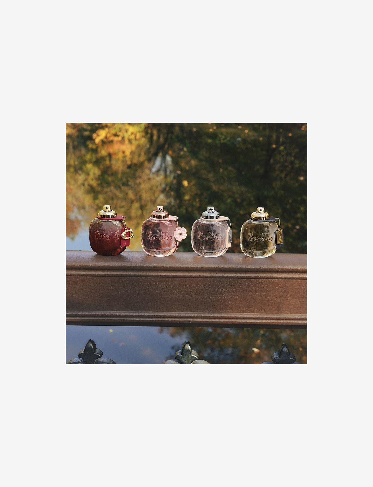 Coach - EAU DE TOILETTE - till henne  - clear - 5