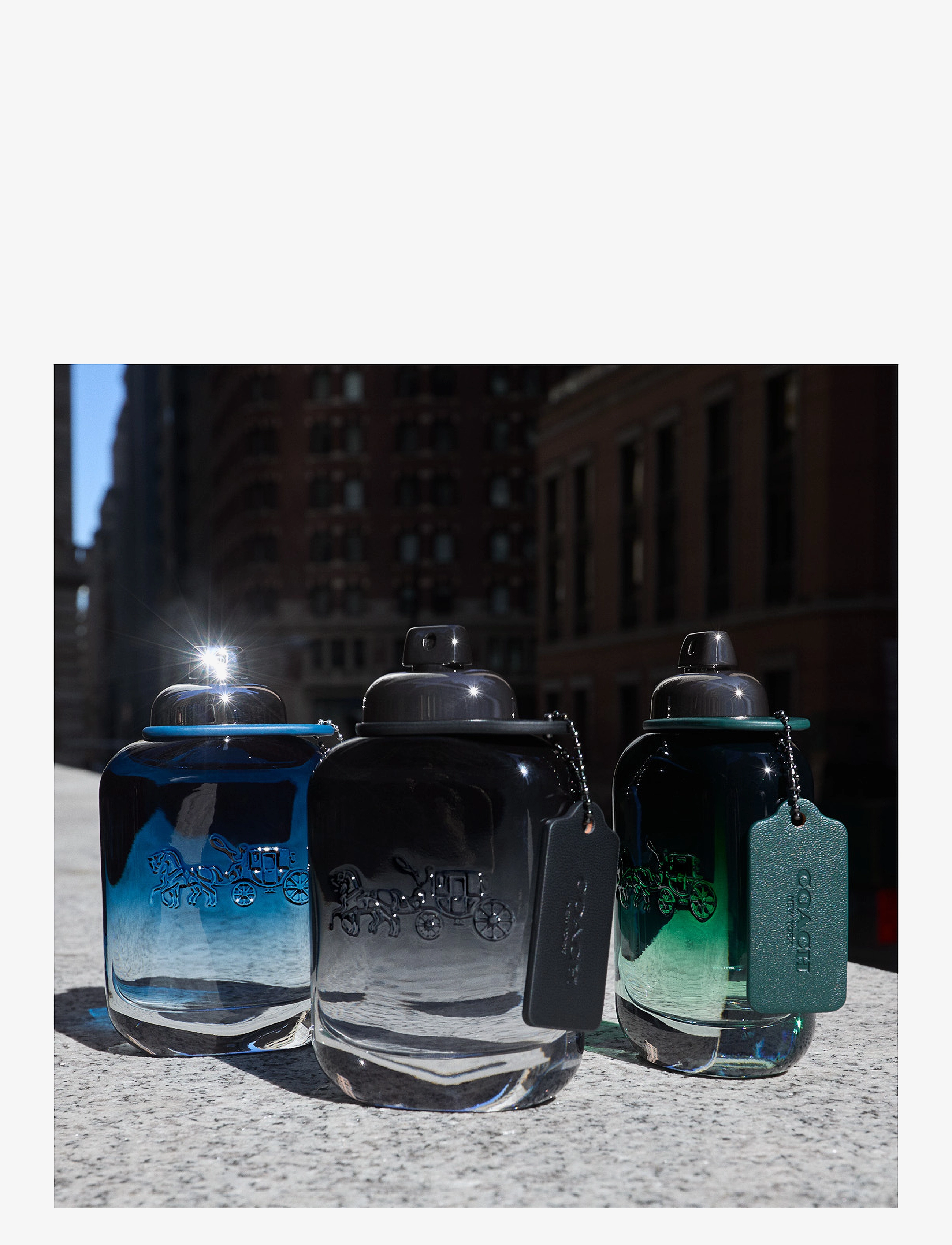 Coach - BLUE EAU DE TOILETTE - clear - 4