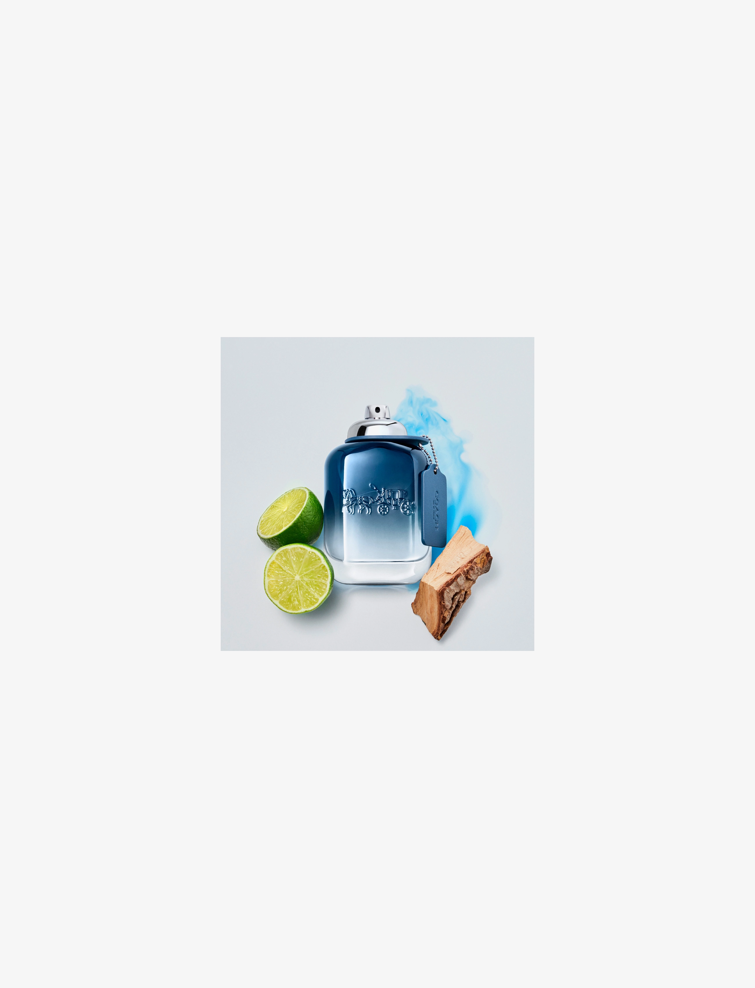 Coach - BLUE EAU DE TOILETTE - clear - 2