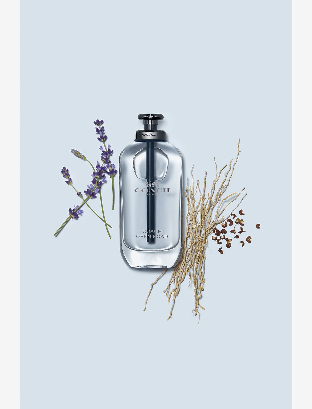 Coach - OPEN ROAD EAU DE TOILETTE - miehille  - clear - 2