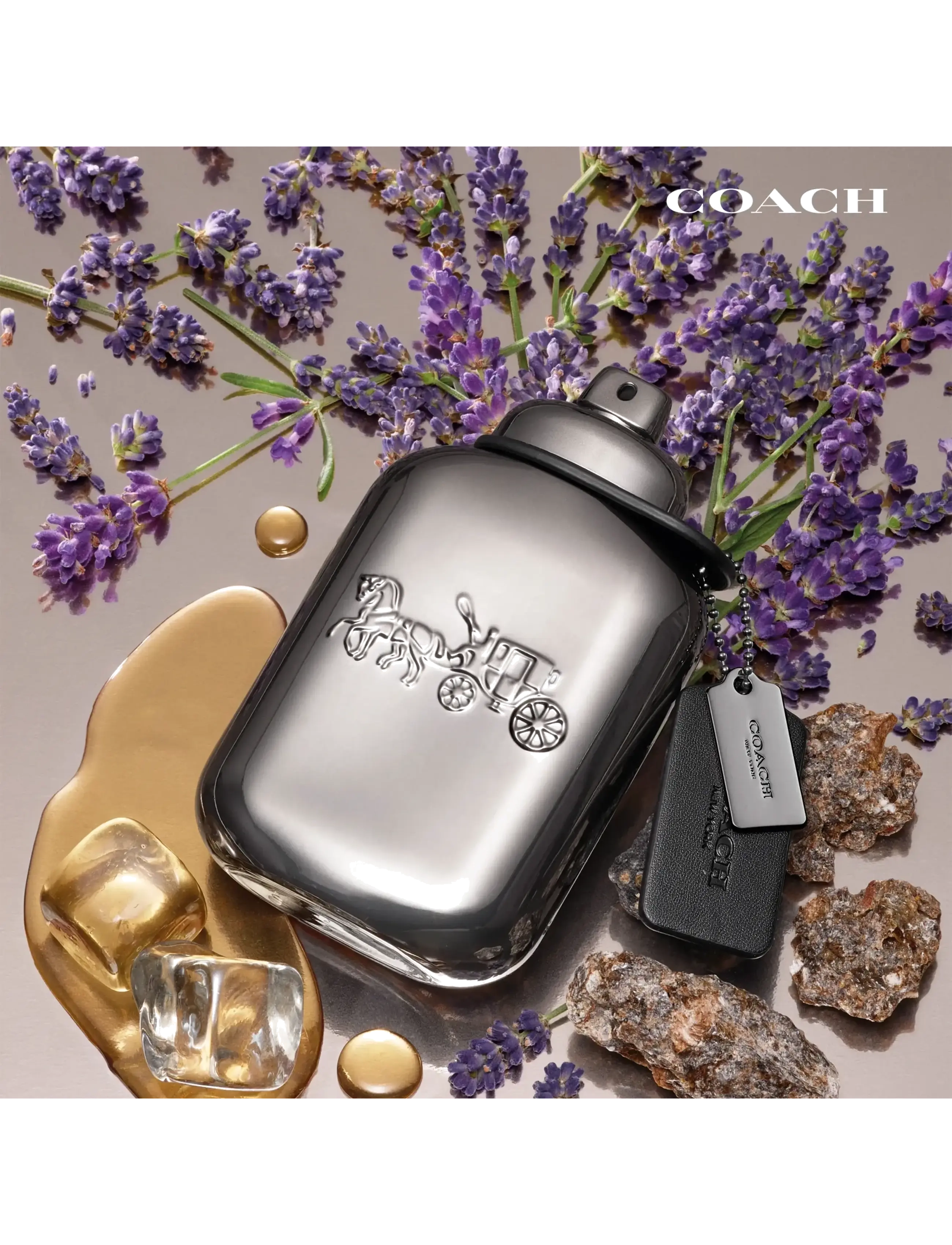 Pure Platinum Parfum 3