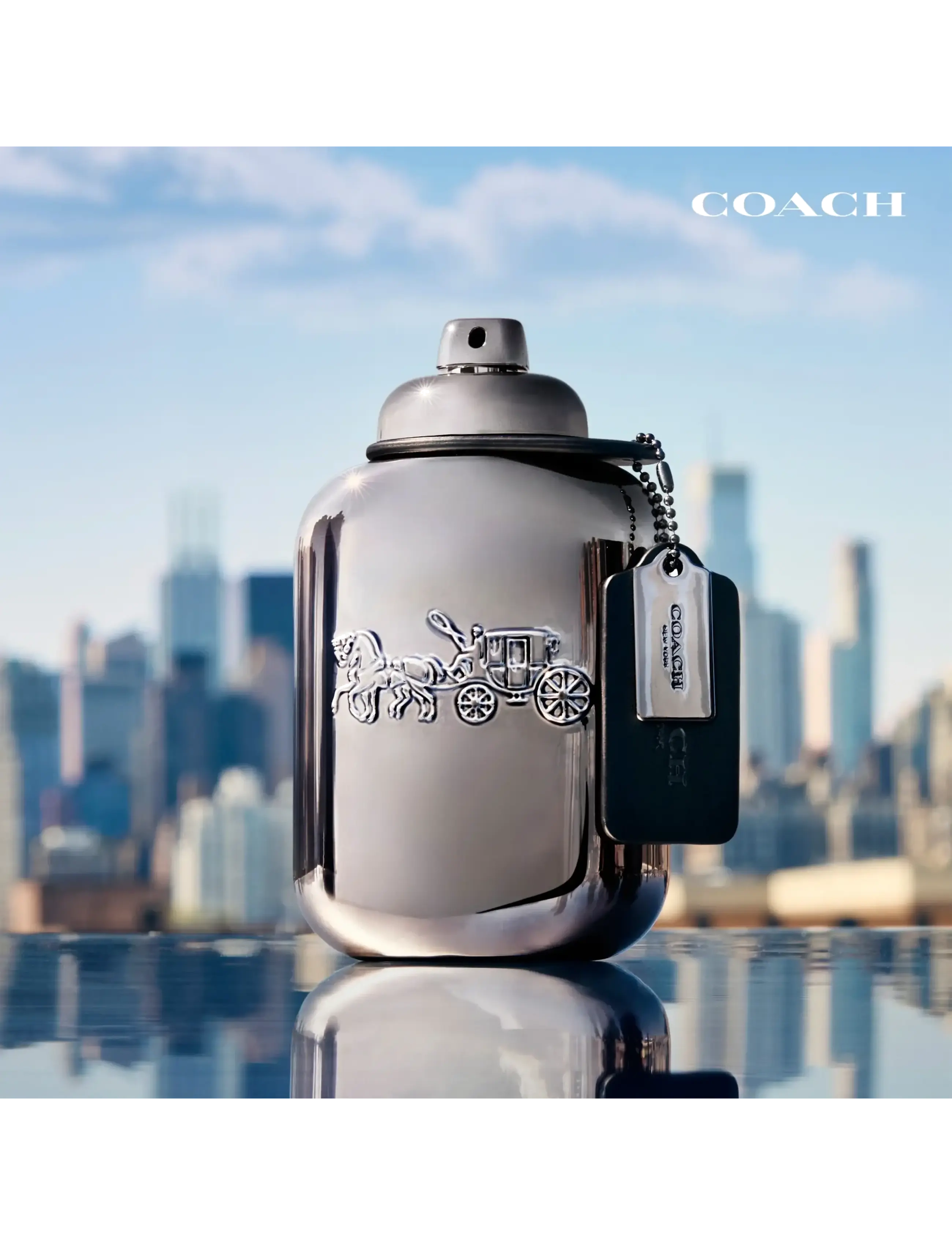 Pure Platinum Parfum 4