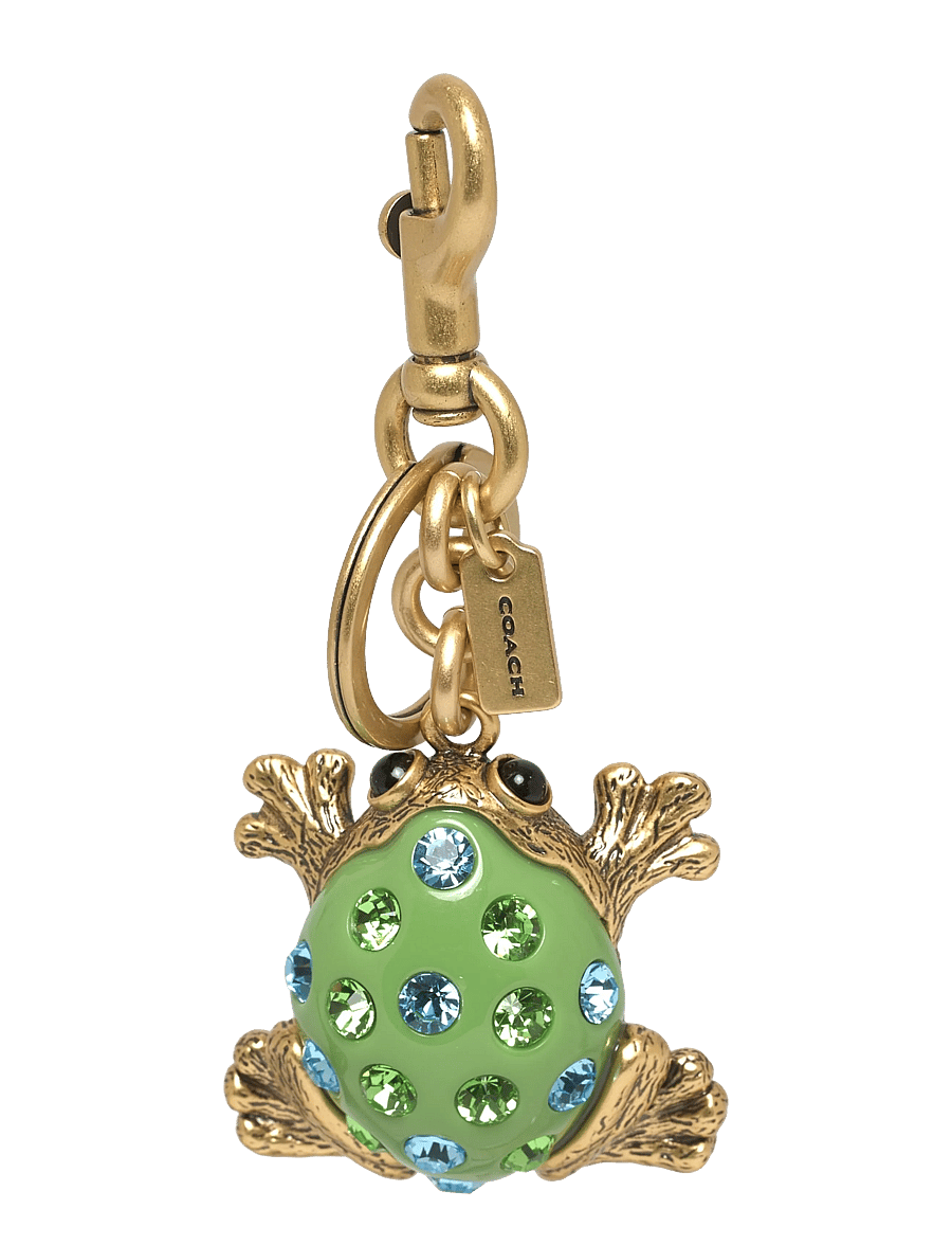 Coach - BAG CHARM - nøgleringe & bag charms - b4/green multi - 0