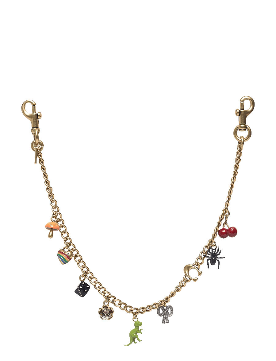 Coach - CHARM CHAIN STRAP - schlüsselringe - b4/multi - 0