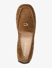 Coach - RONNIE LOAFER - flats - coconut - 3