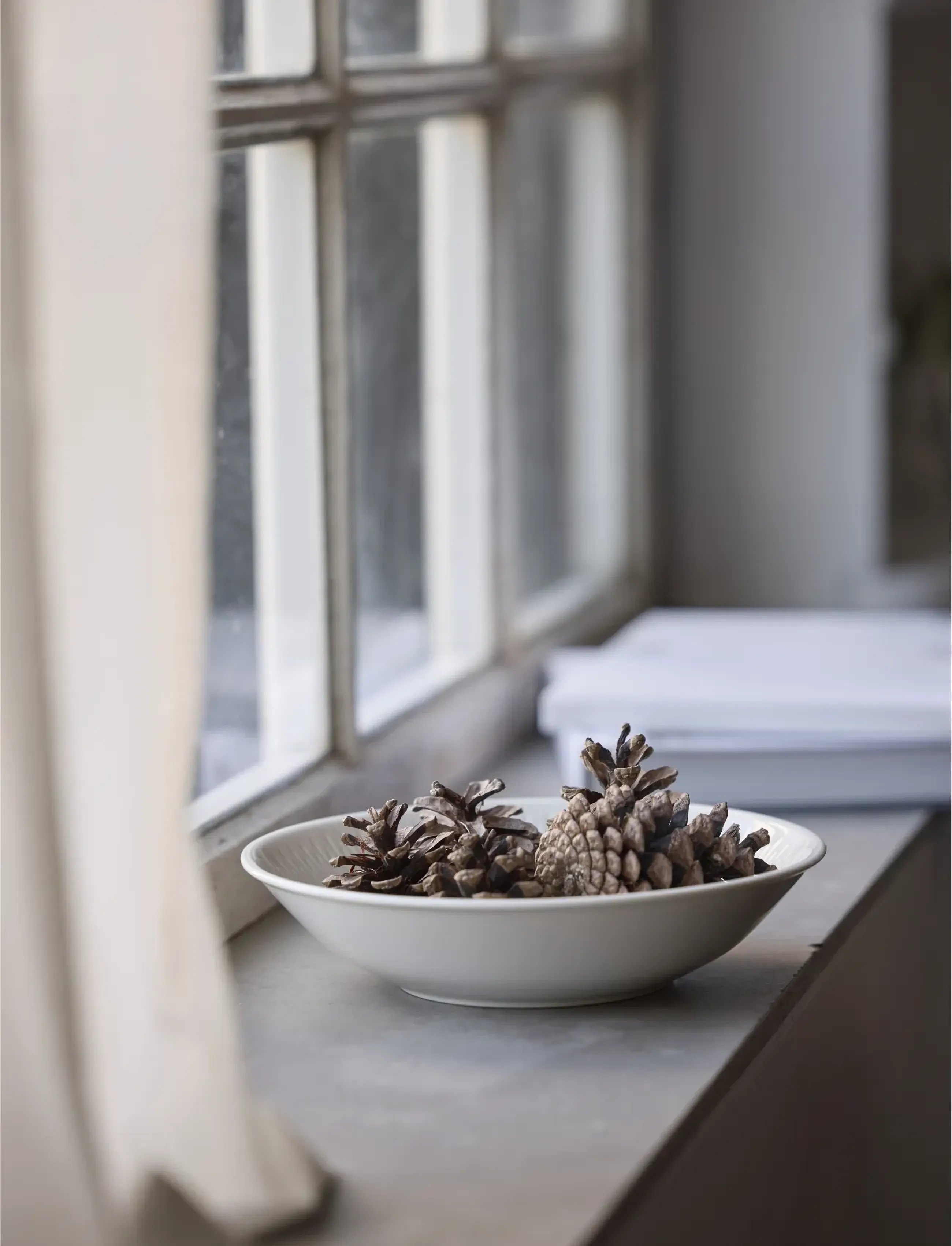 Coast - Pasta bowl Horizon 4 pcs - nudelteller - vit - 5