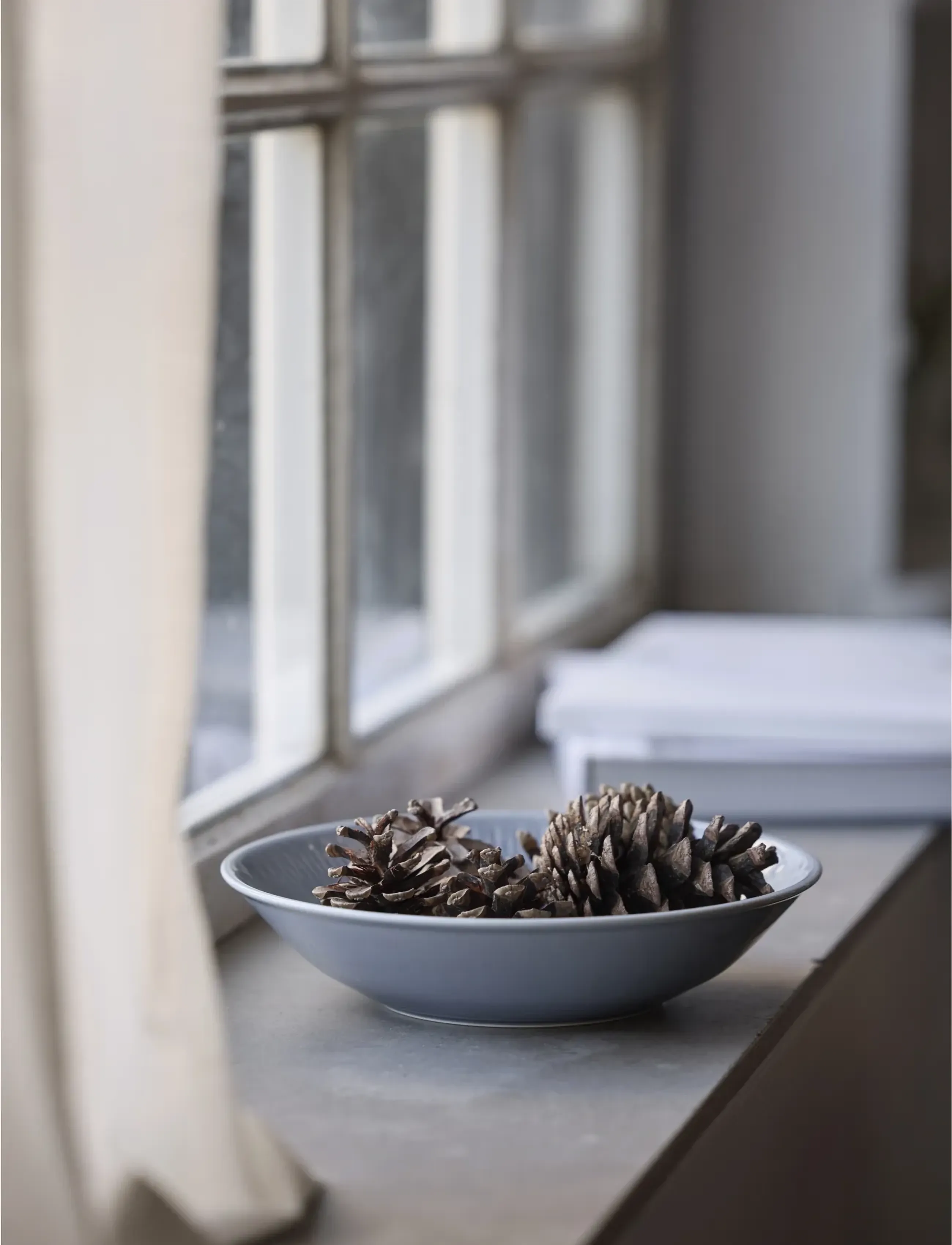 Coast - Pasta bowl Horizon 4 pcs - pasta plates - blÅ - 5