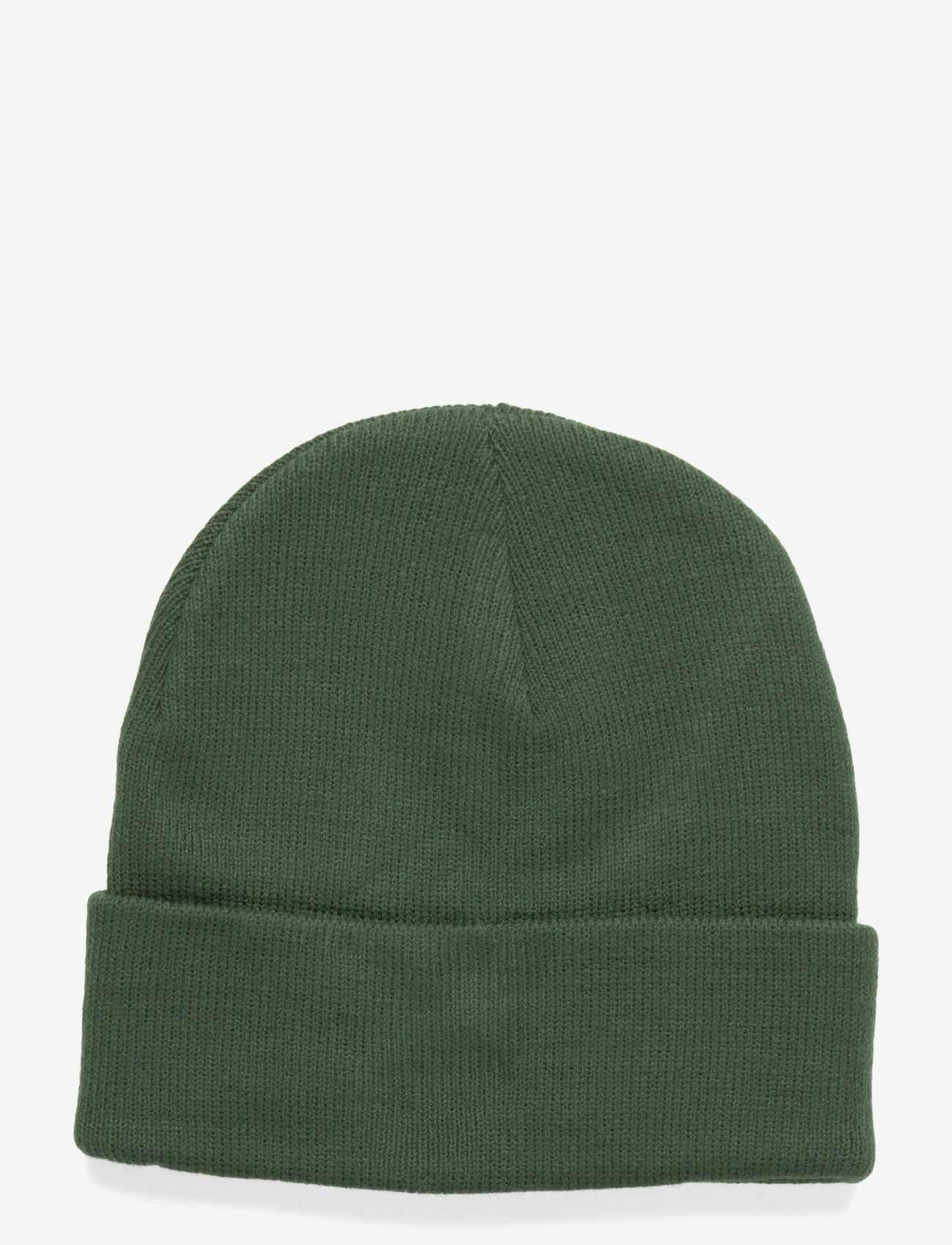 COLD - Pil Beanie - accessoires - pine - 1