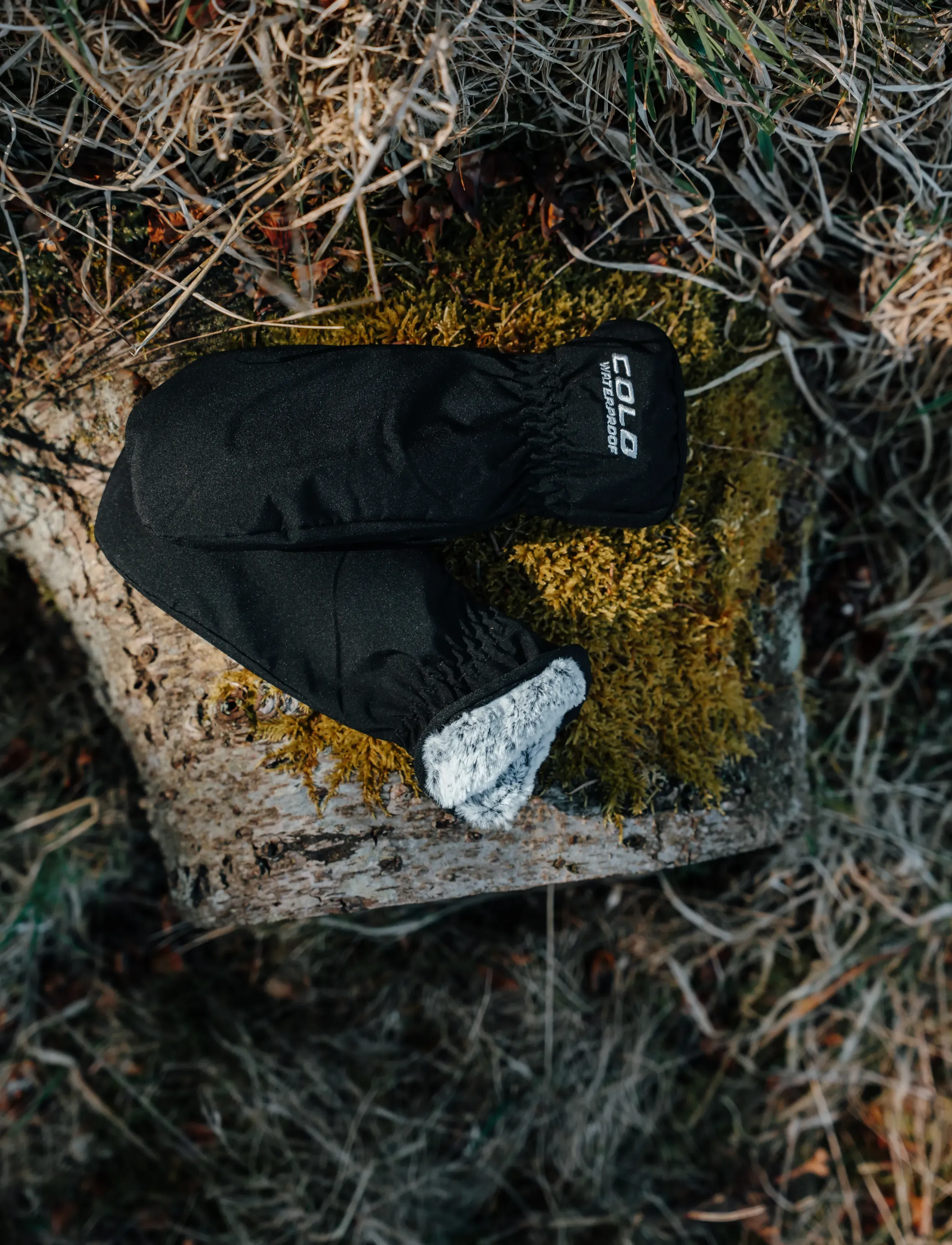 COLD Softshell Mitten - Aksessuaarid - BLACK / black