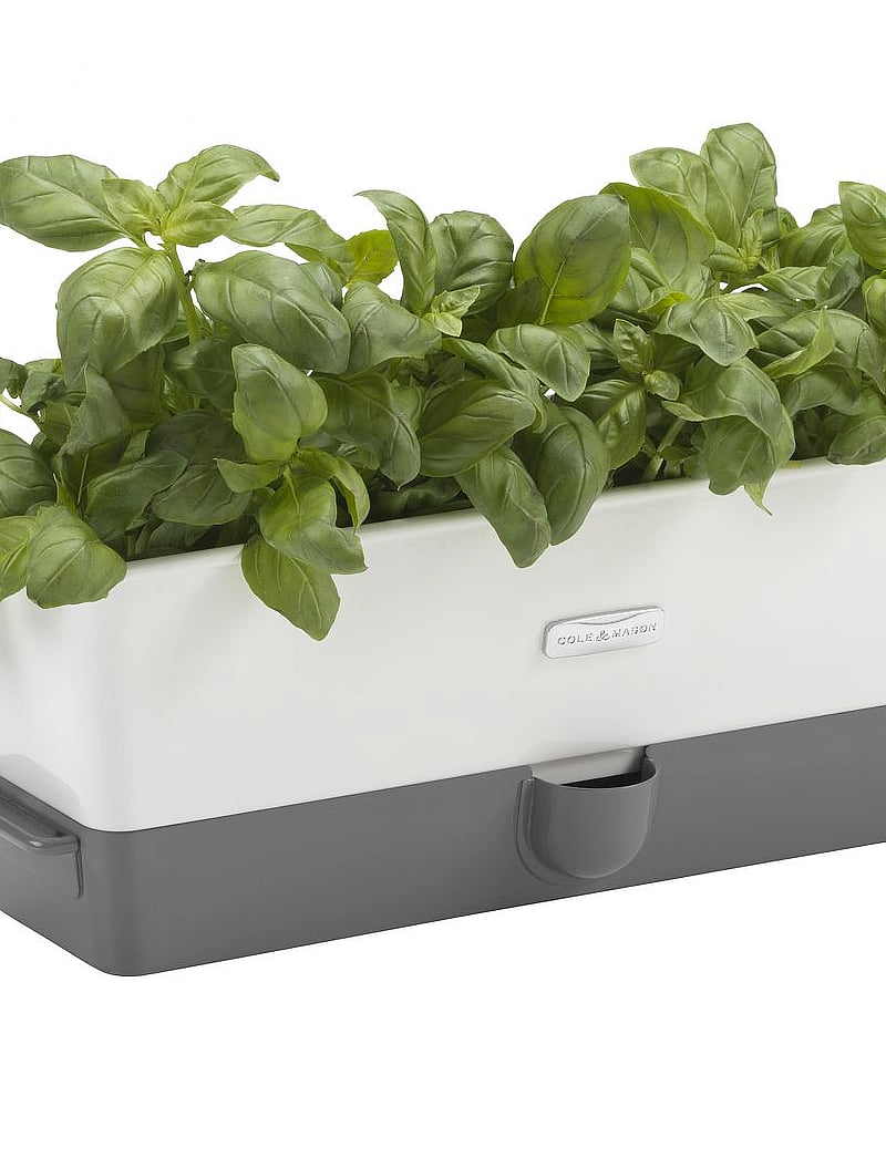 Cole & Mason - Self-Watering Herb Keeper Triple - white - 1