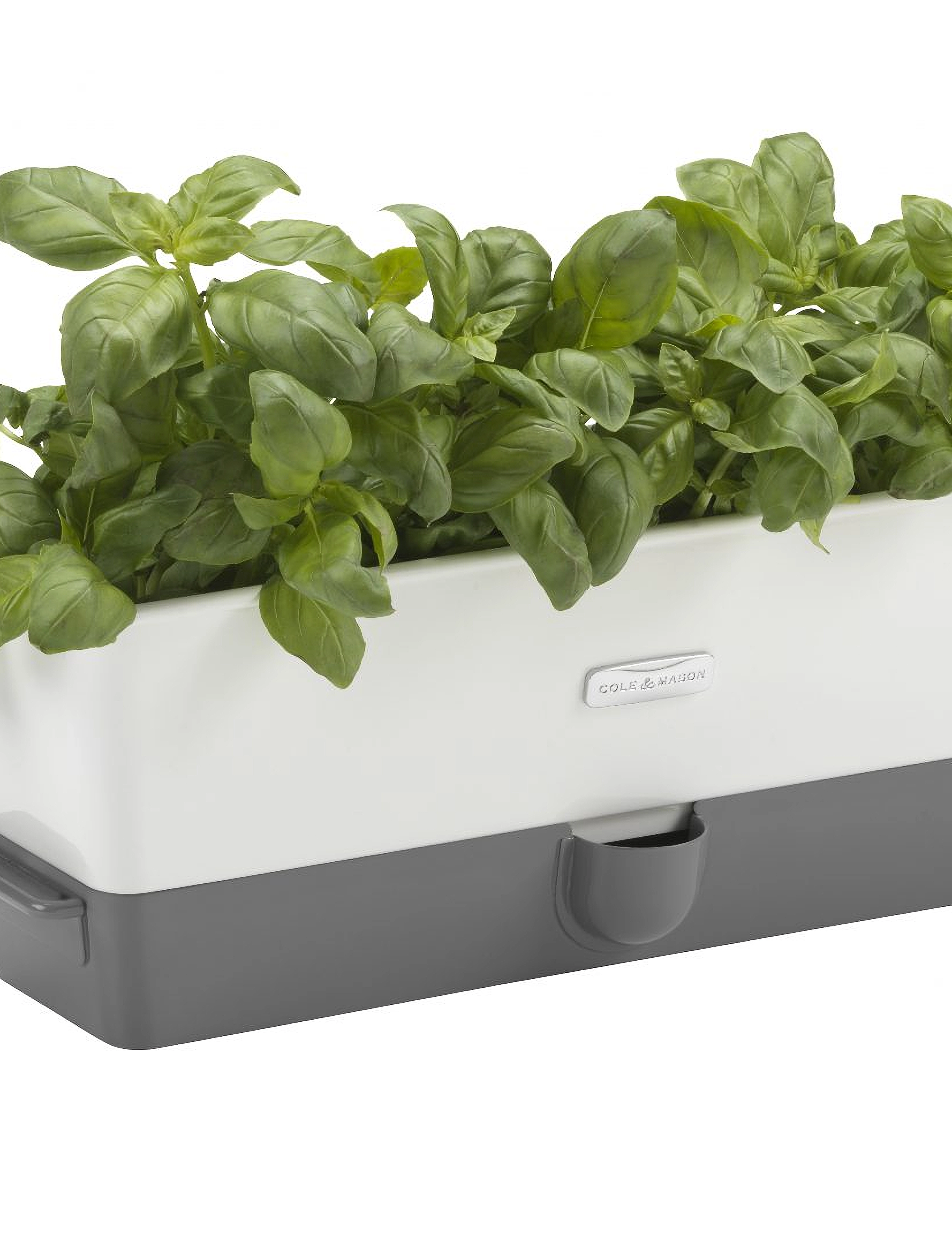 Cole & Mason - Self-Watering Herb Keeper Triple - white - 1