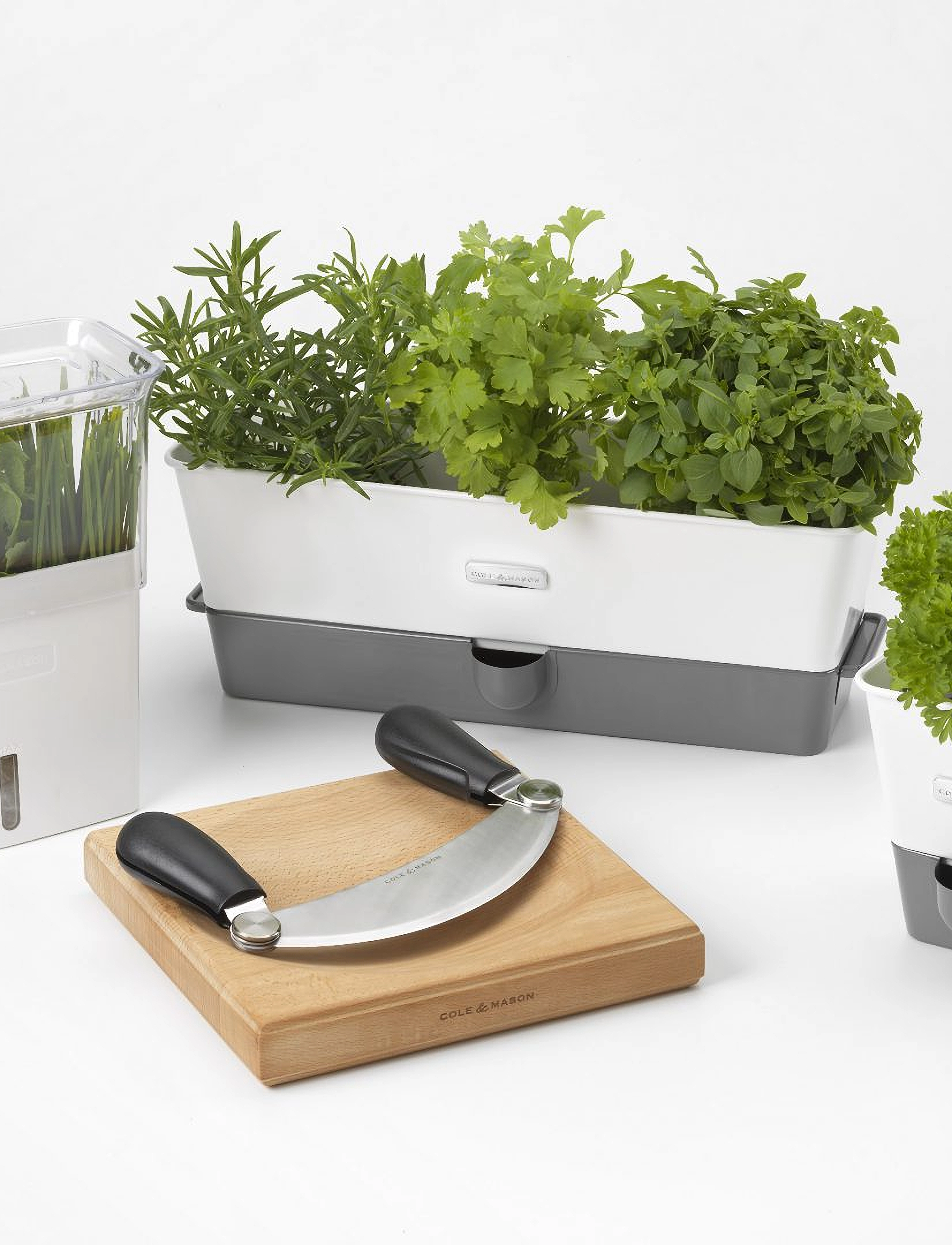 Cole & Mason - Self-Watering Herb Keeper Triple - white - 3