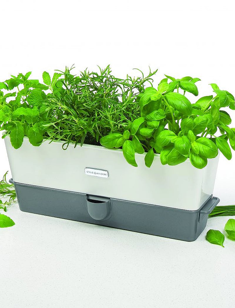 Cole & Mason - Self-Watering Herb Keeper Triple - white - 4