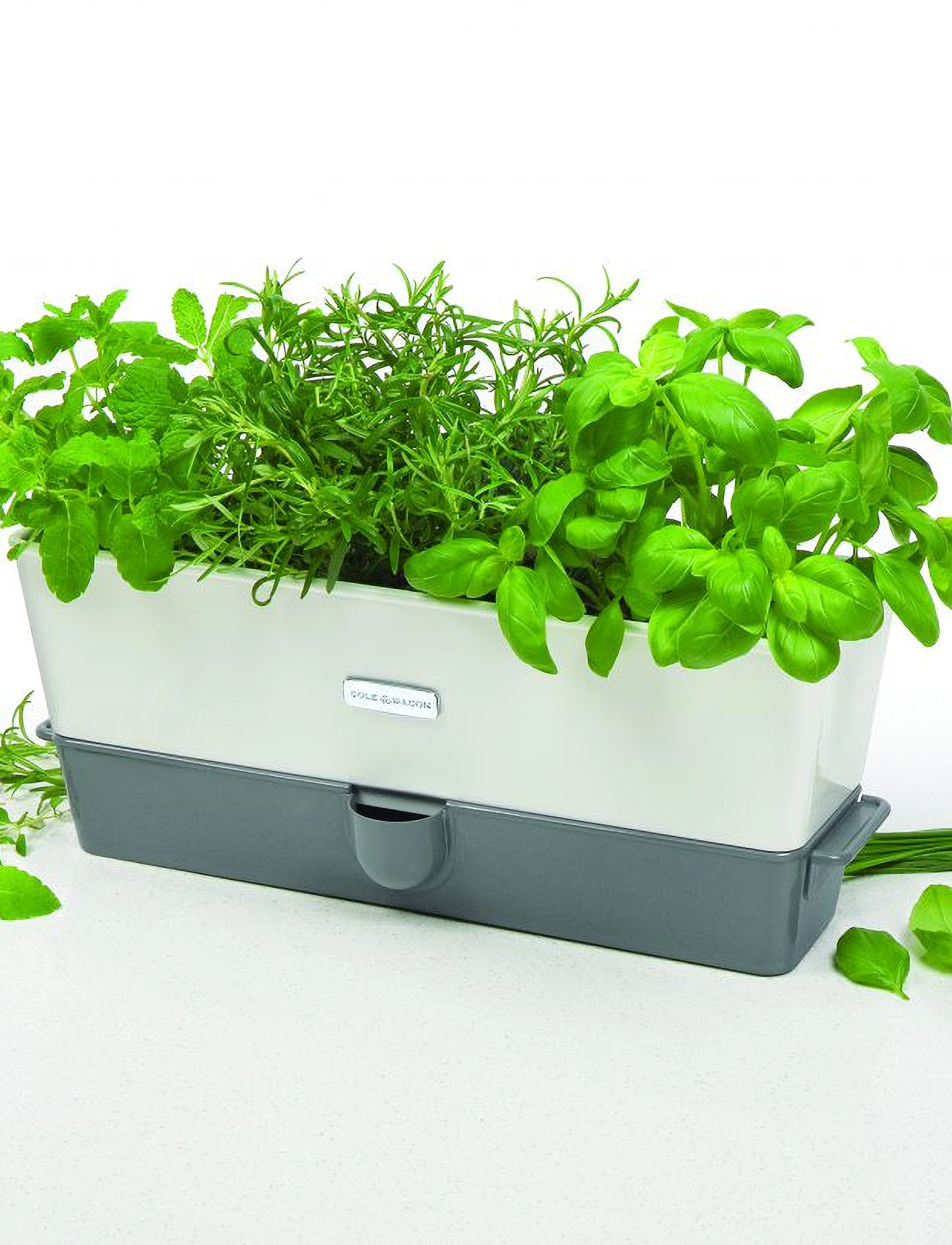 Cole & Mason - Self-Watering Herb Keeper Triple - white - 4